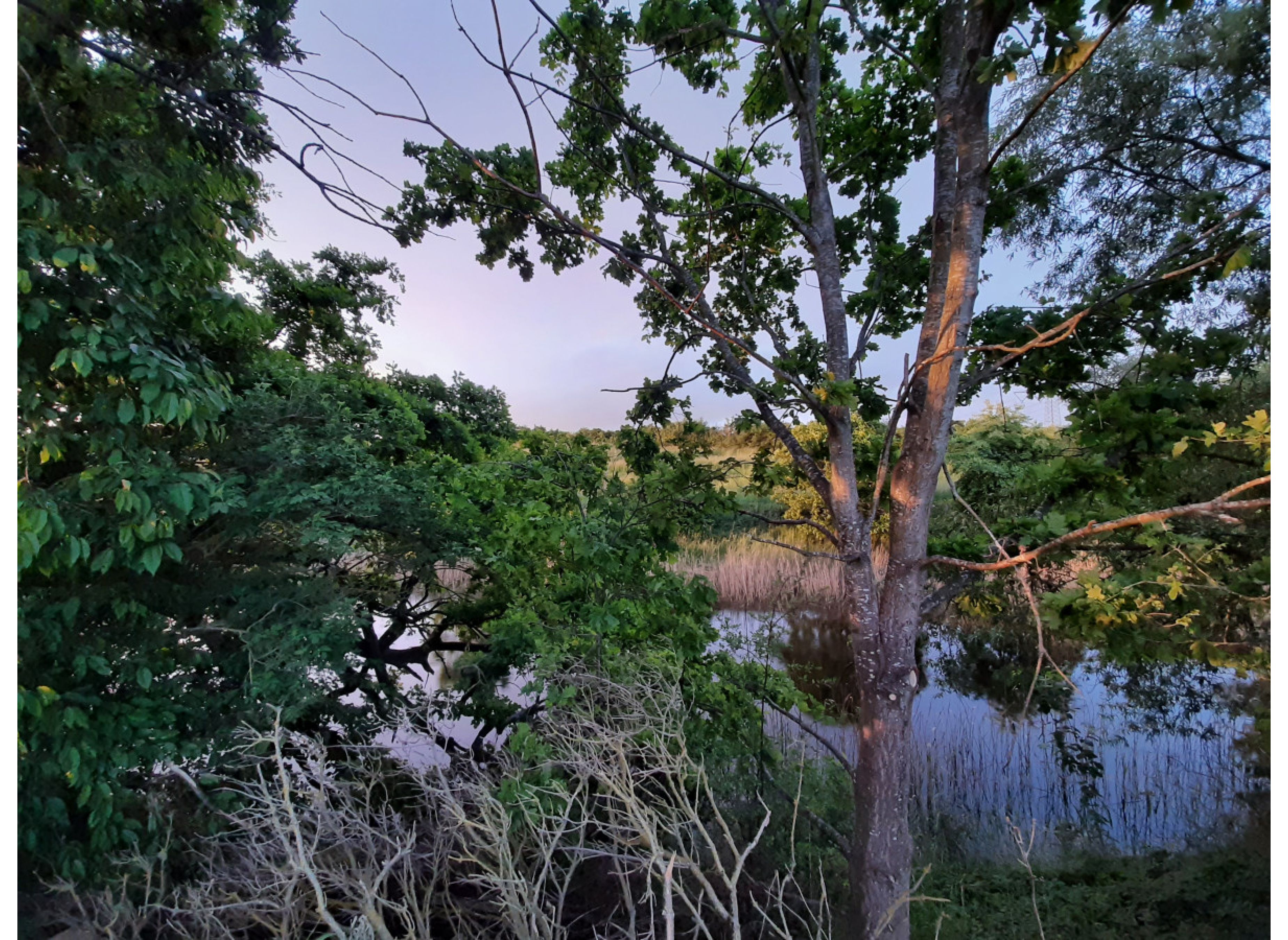 stellplätze in idyllischer alleinlage & kultur #2 + — Photo 2