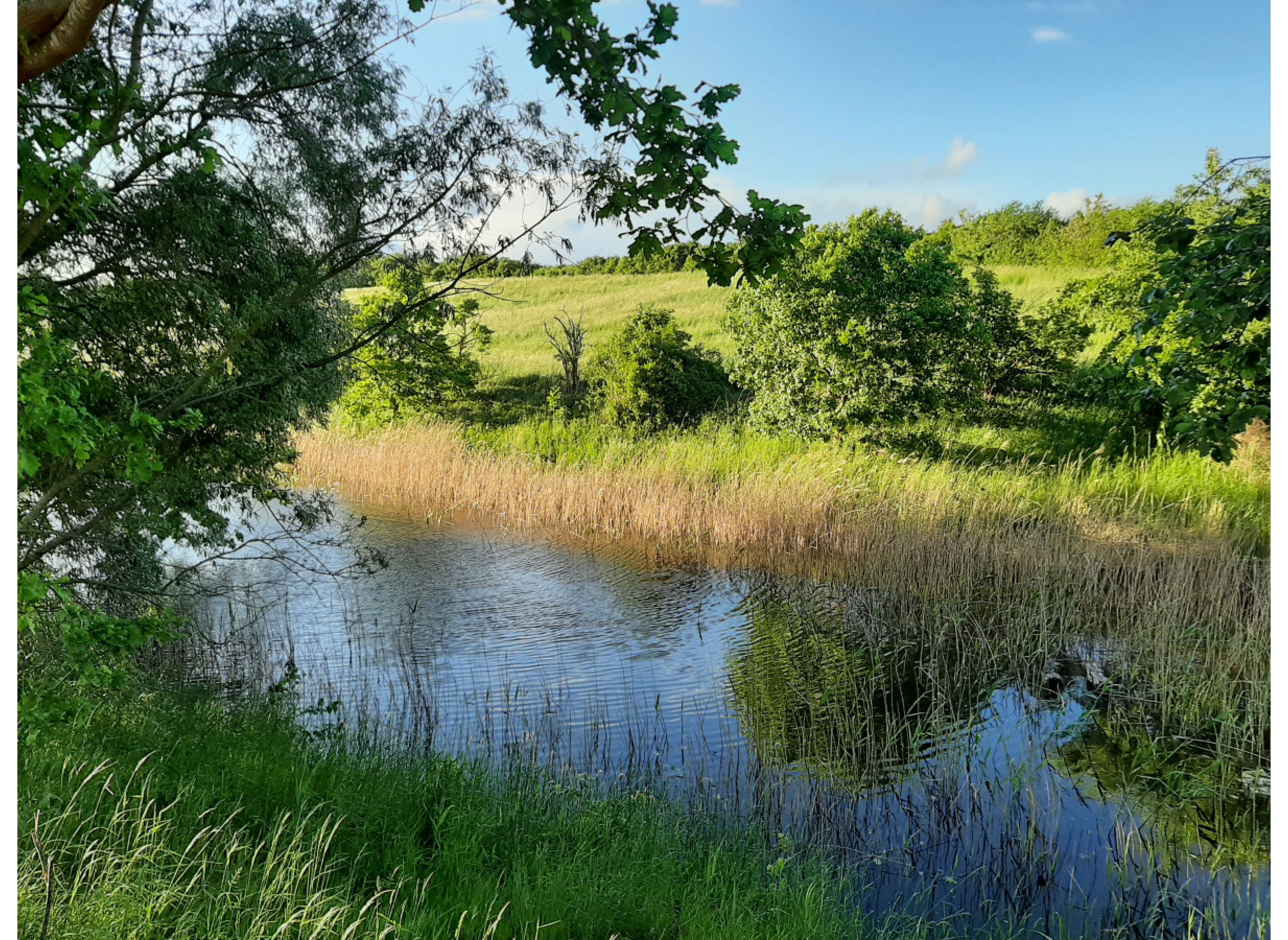 stellplätze in idyllischer alleinlage & kultur #2 + — Photo 3