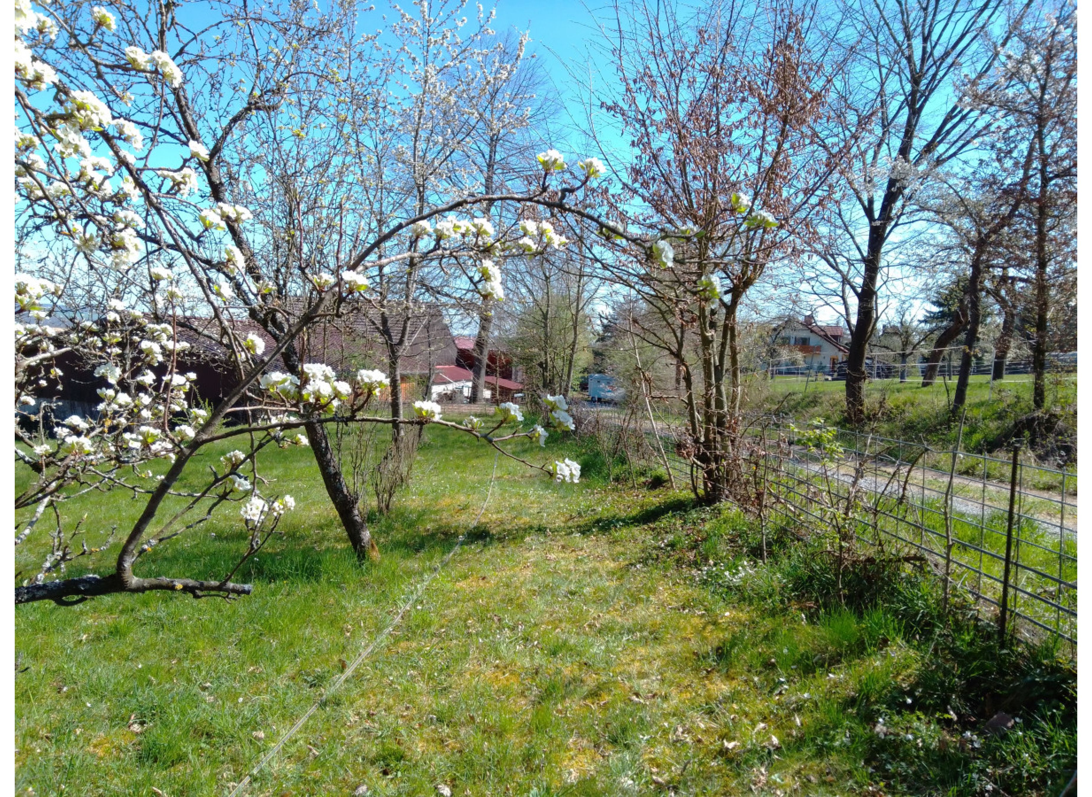 Einzelstellplatz an der mongolischen Yurte