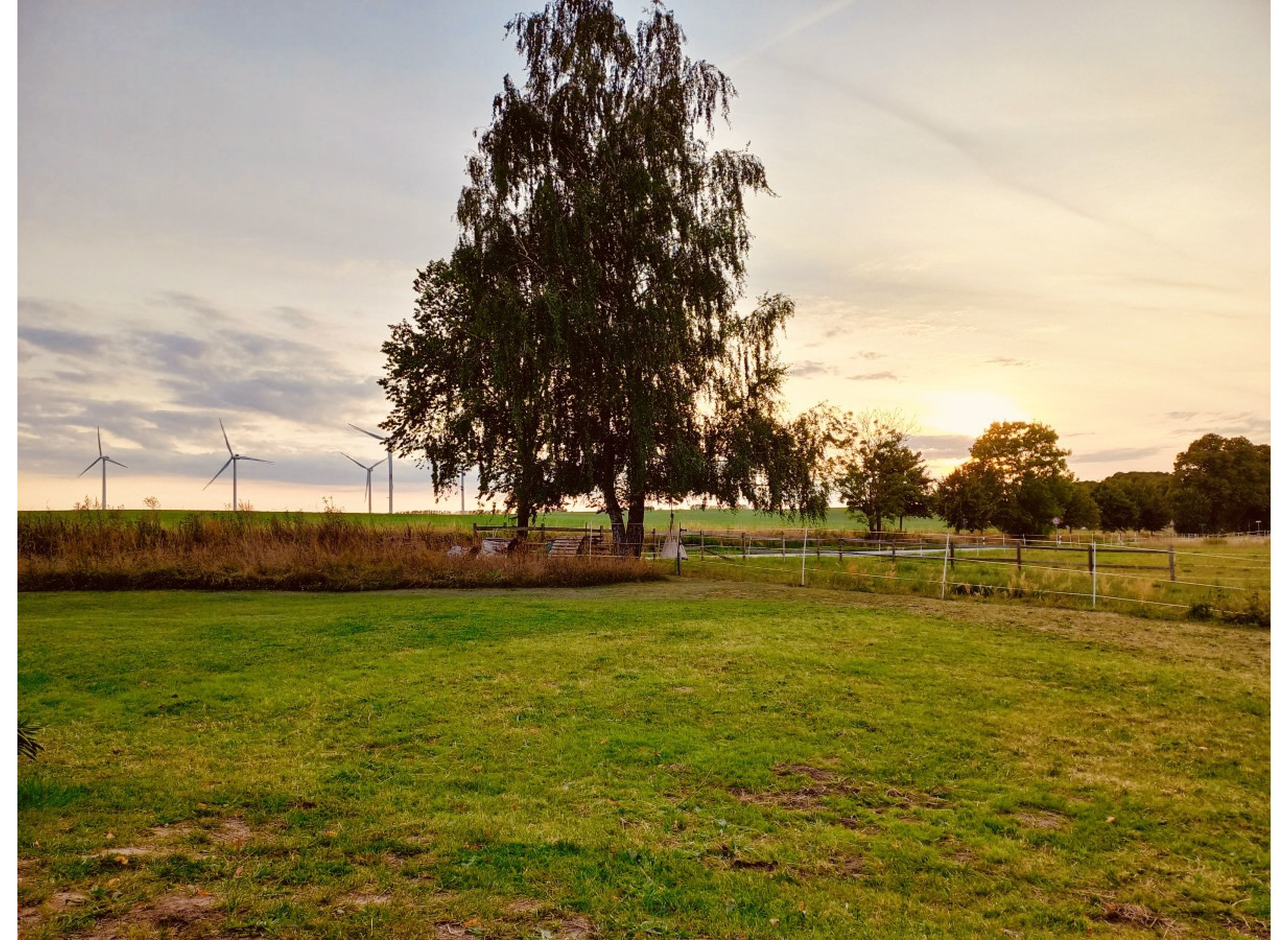 Wiese am Hellbachtall