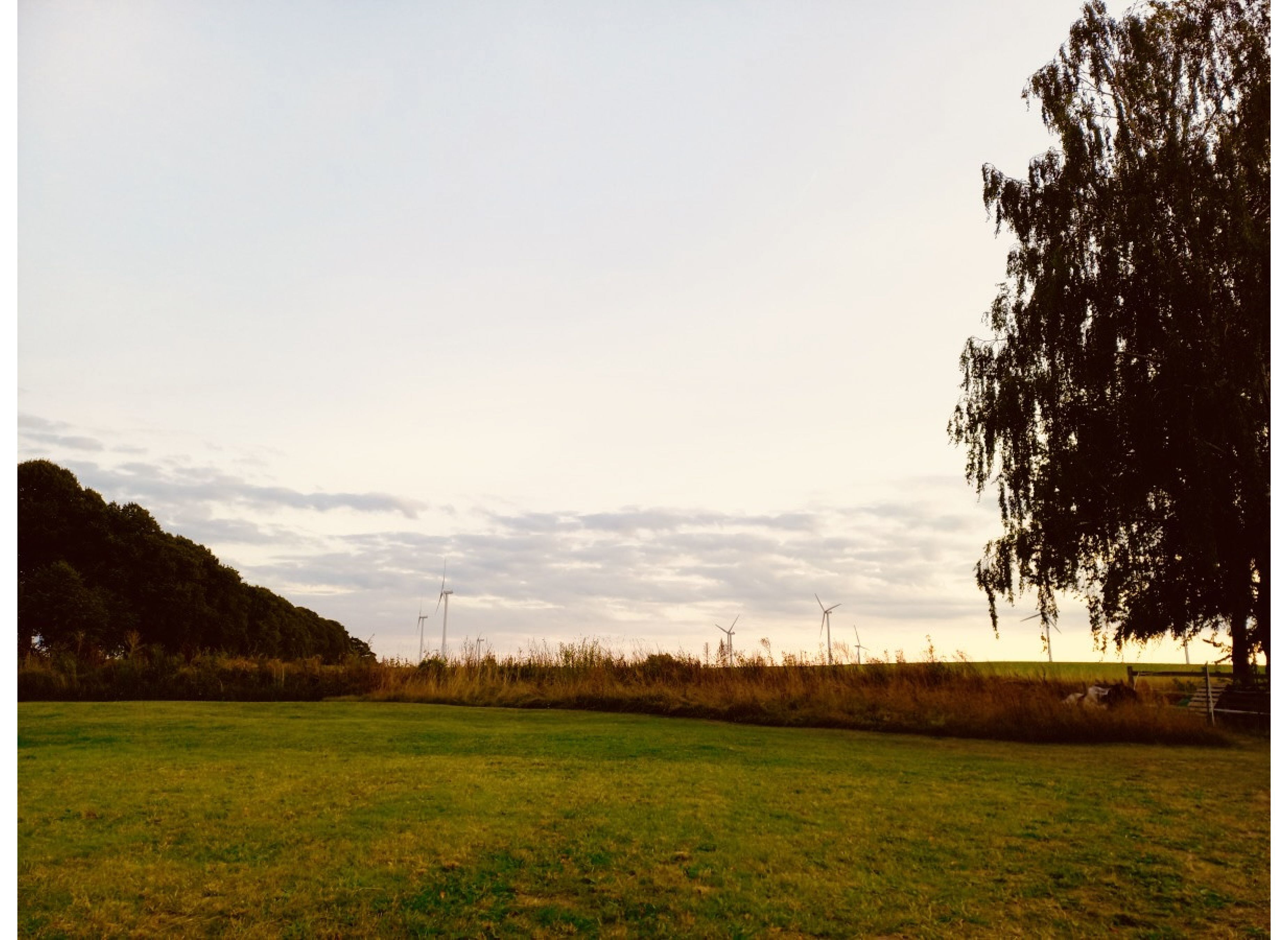 Wiese am Hellbachtall — Photo 2