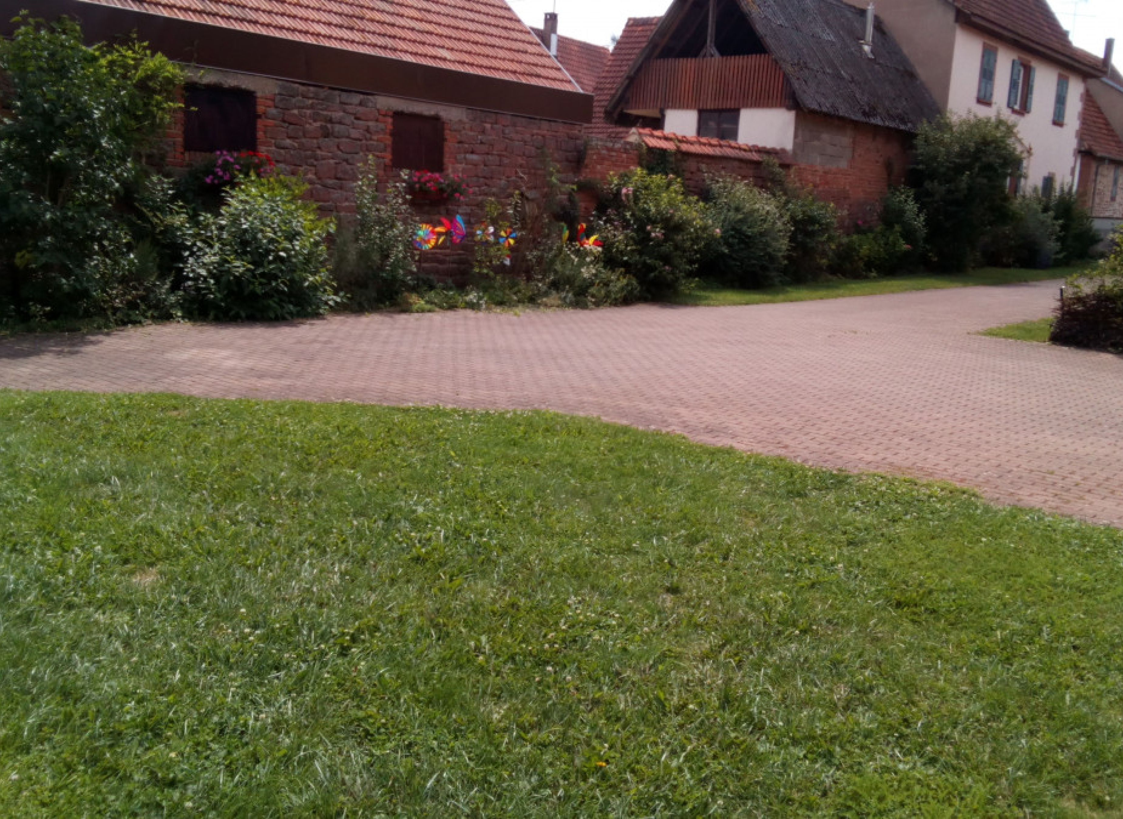 Am Fuße der Nord Vosgesen im Elsass — Photo 3