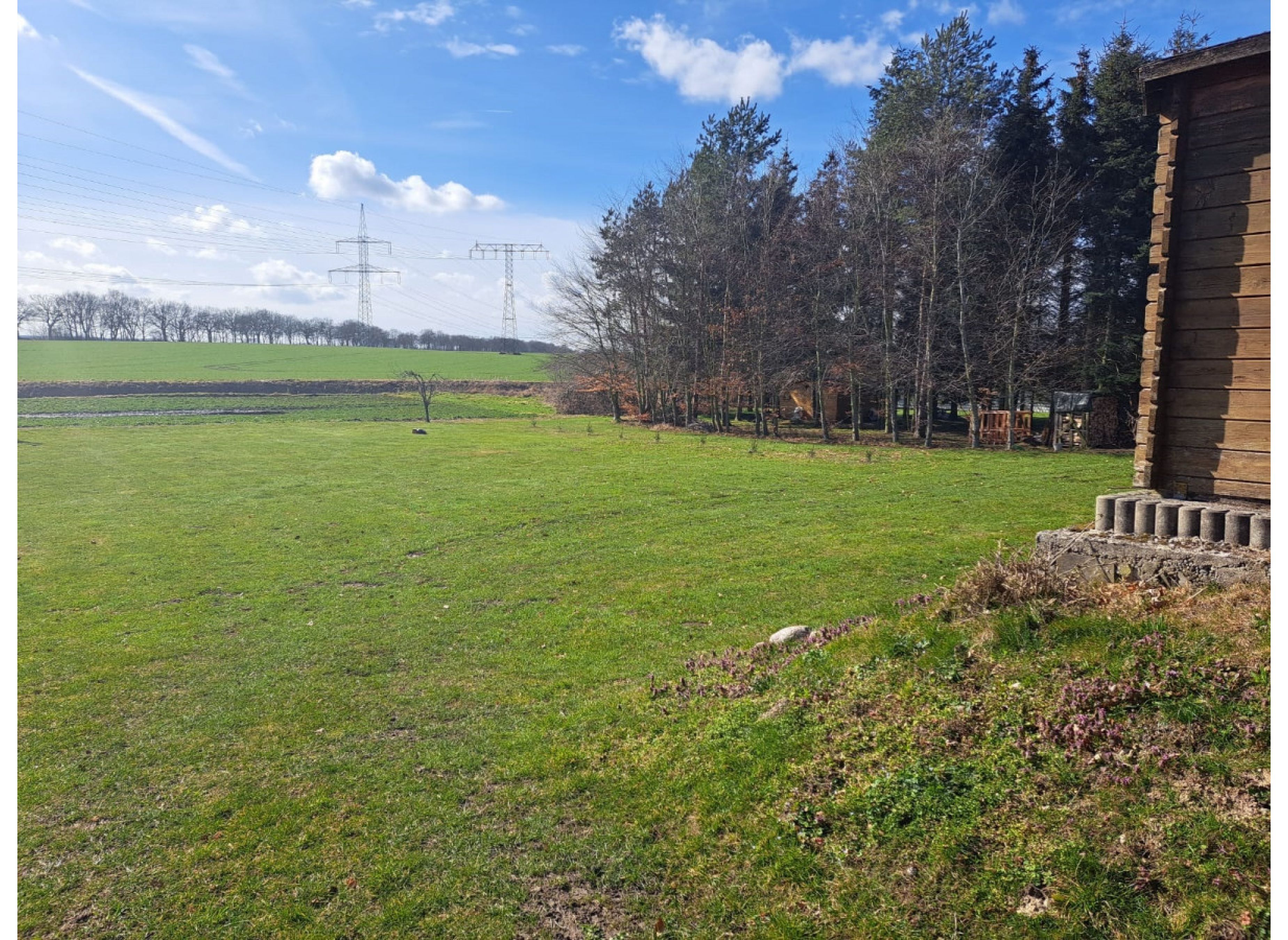 Natur pur, abseits der Hauptstraße und trotzdem zentral — Photo 2