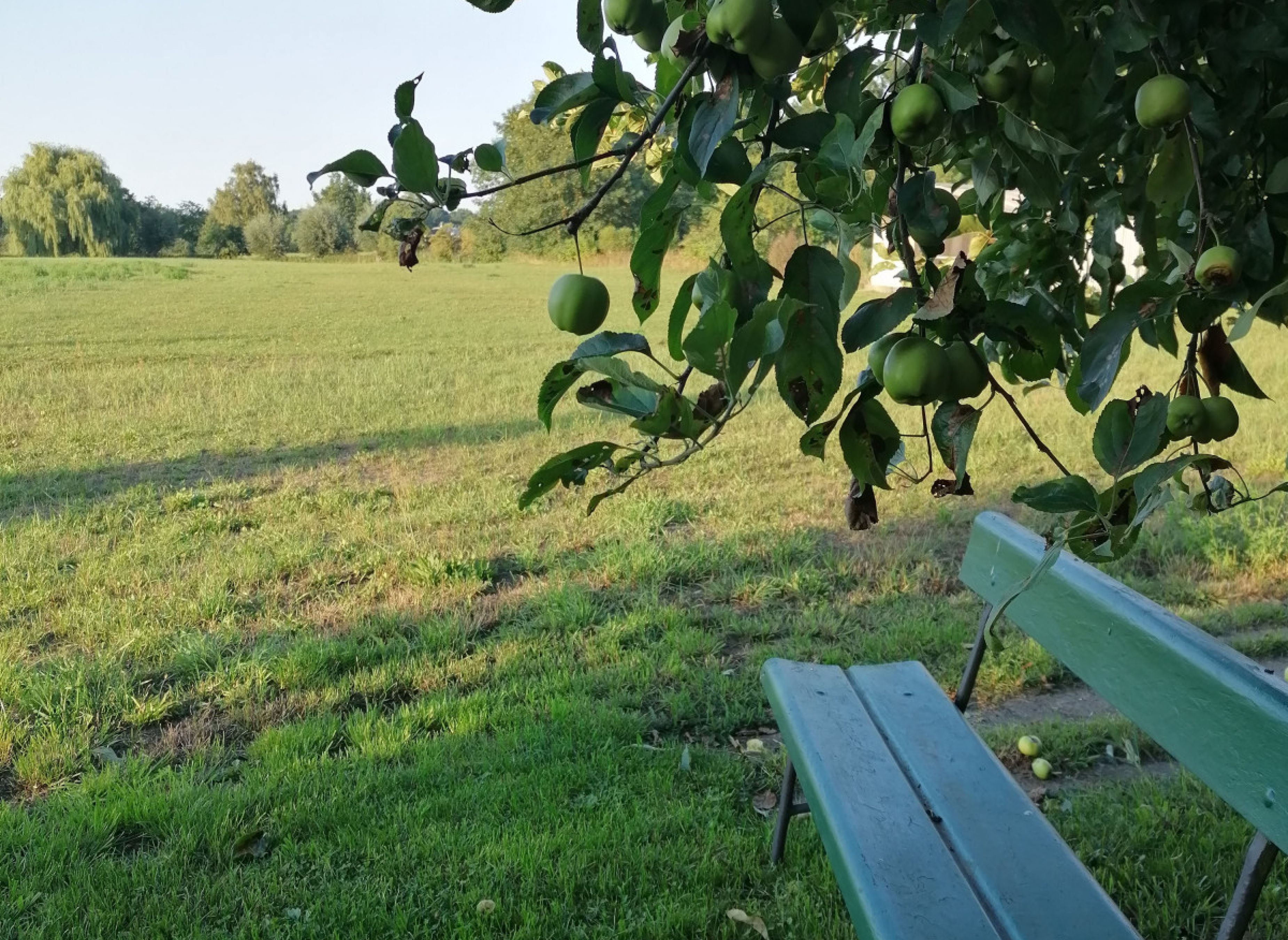 Stellplatz mit Weitblick im Grünen