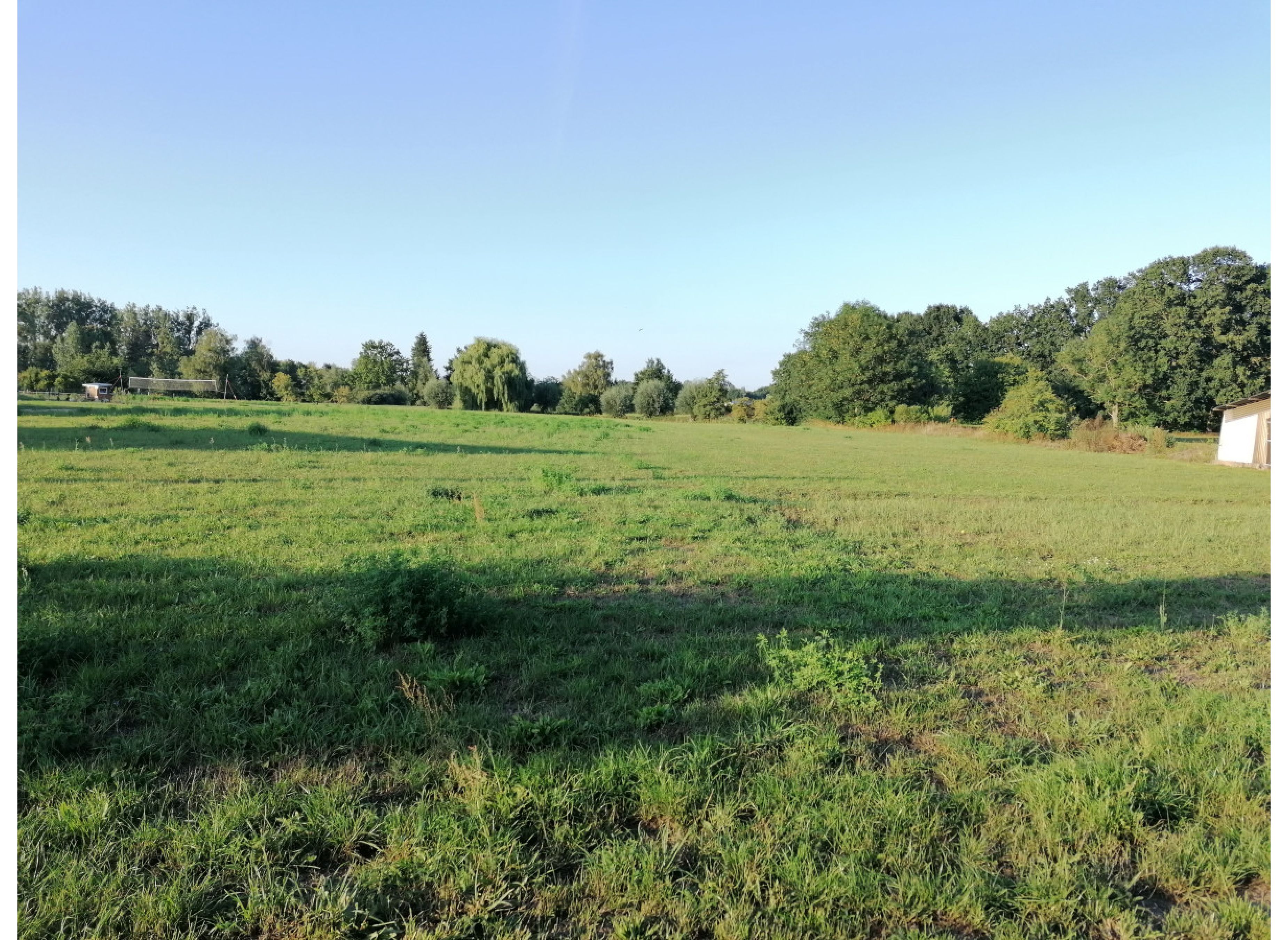 Stellplatz mit Weitblick im Grünen — Photo 2