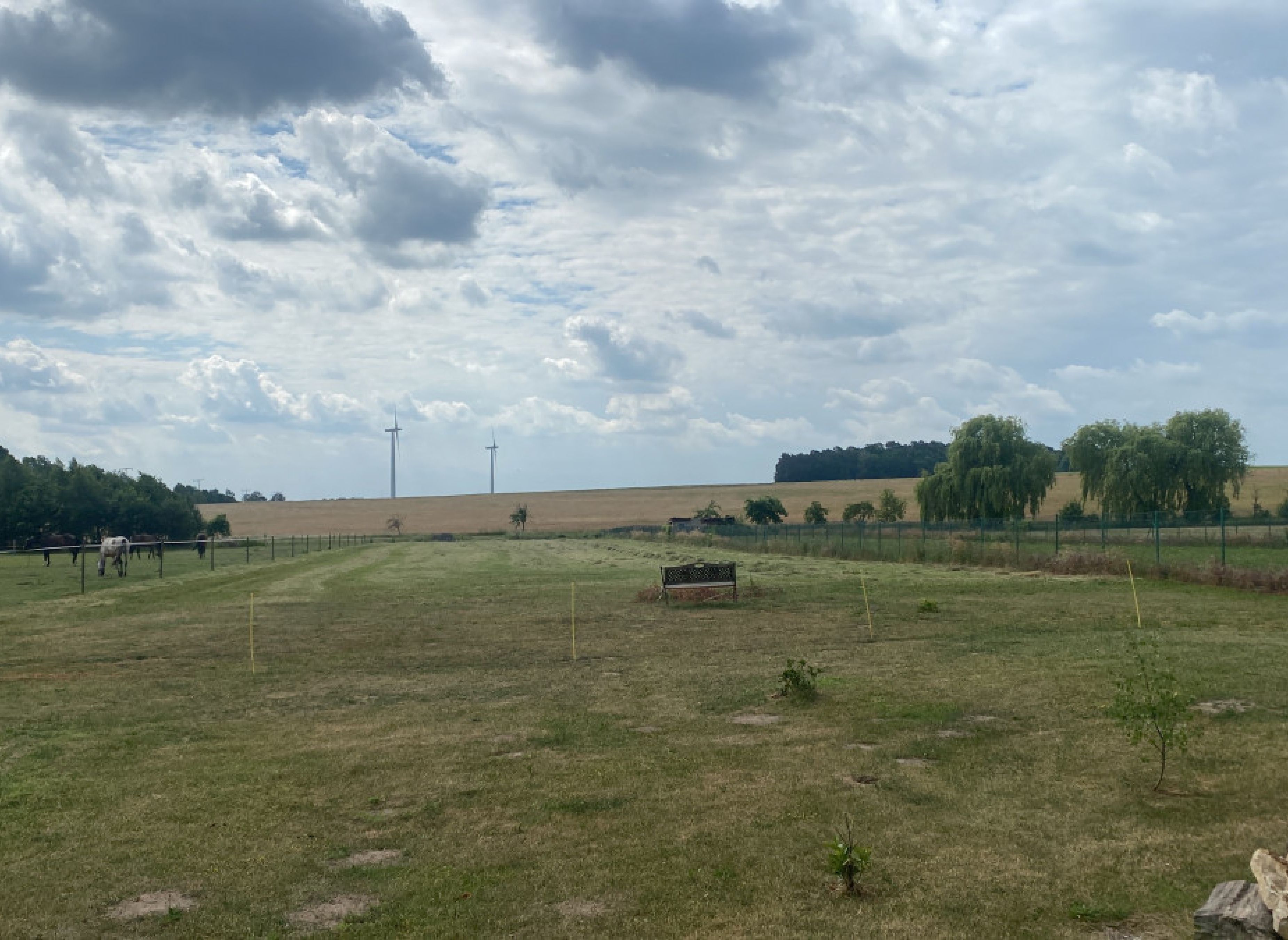Stellplatz am Naturschutzgebiet Drömling