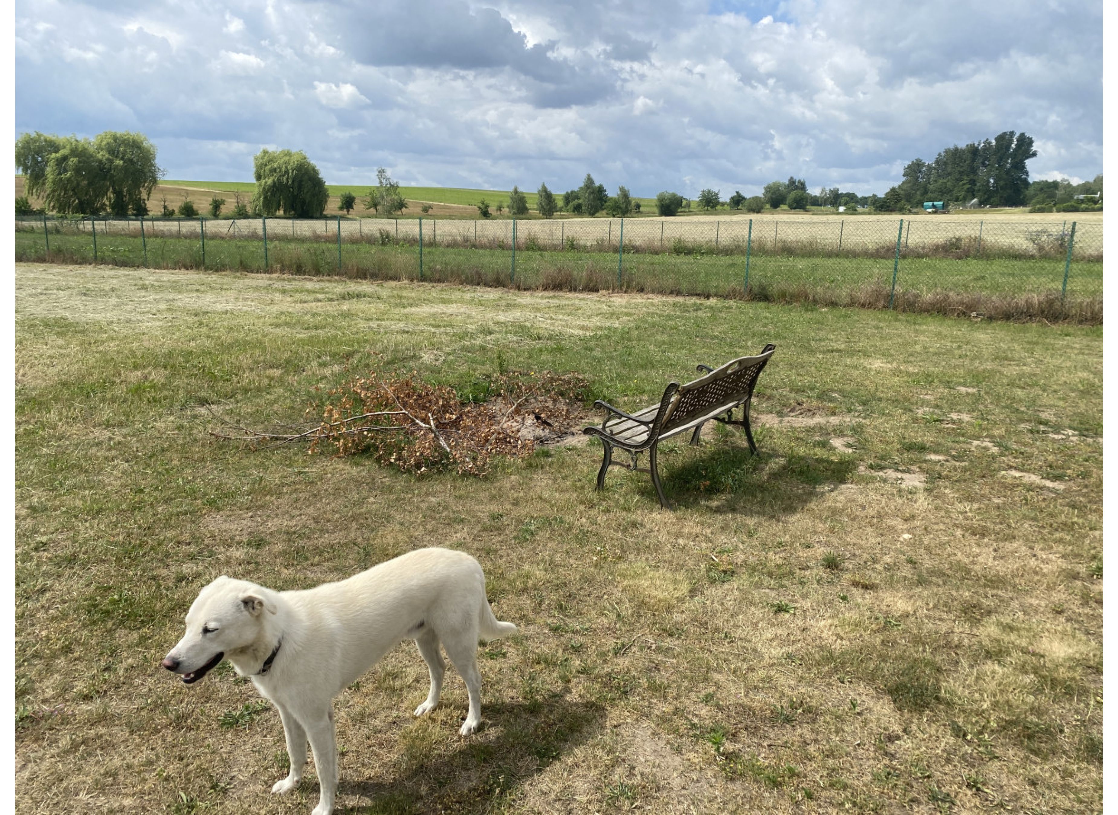 Stellplatz am Naturschutzgebiet Drömling — Photo 2