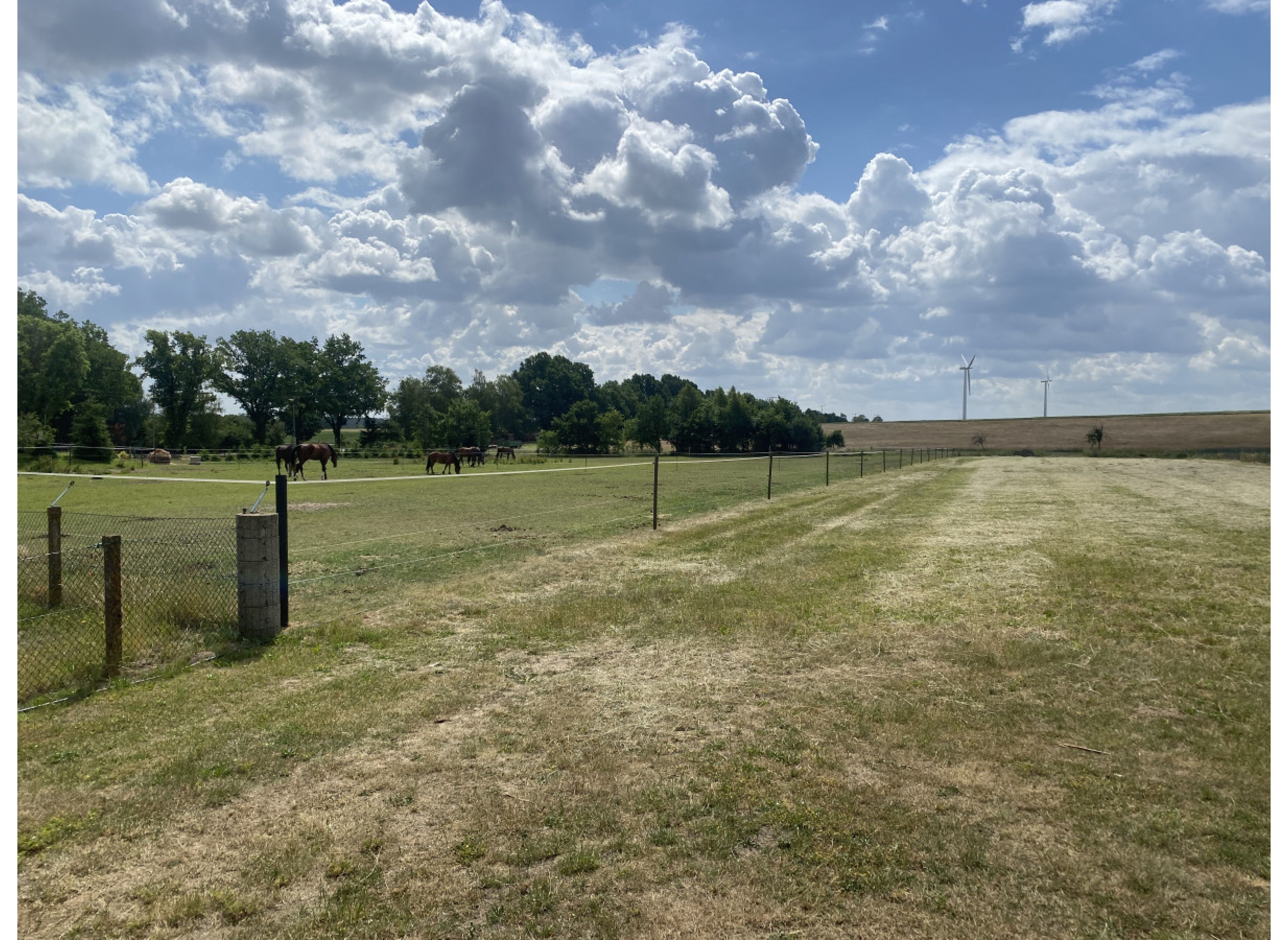 Stellplatz am Naturschutzgebiet Drömling — Photo 3