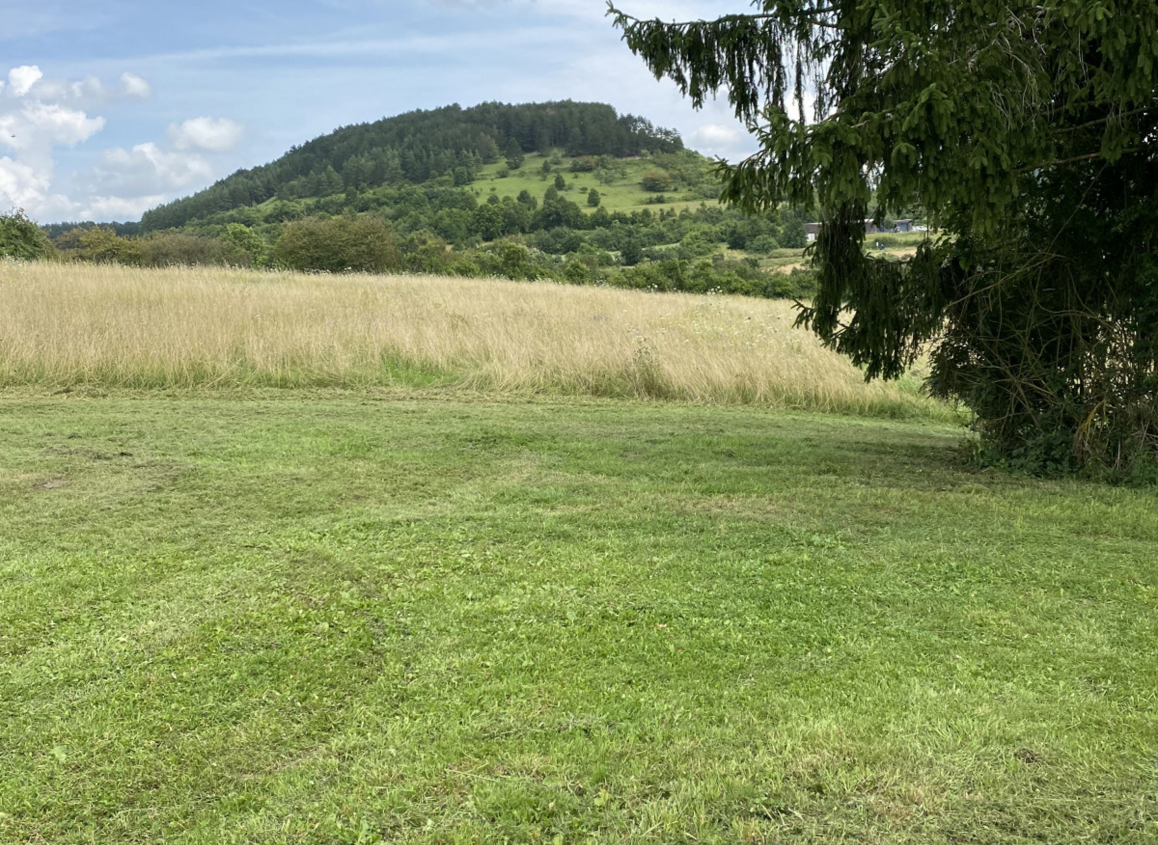 Stellplatz in der Natur mit tollem Ausblick #1 — Photo 3