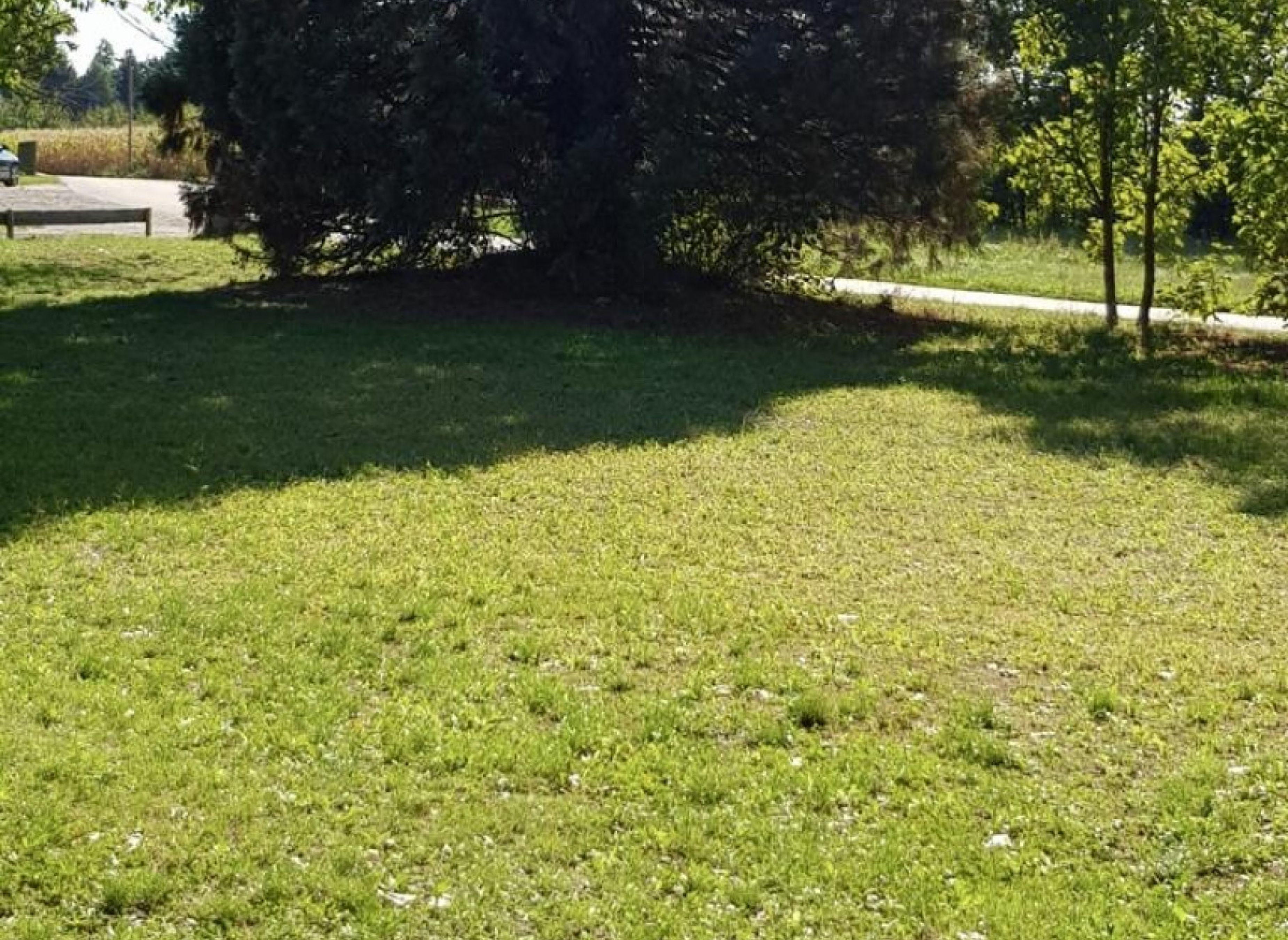 Zentral und trotzdem ruhig :-) — Photo 3