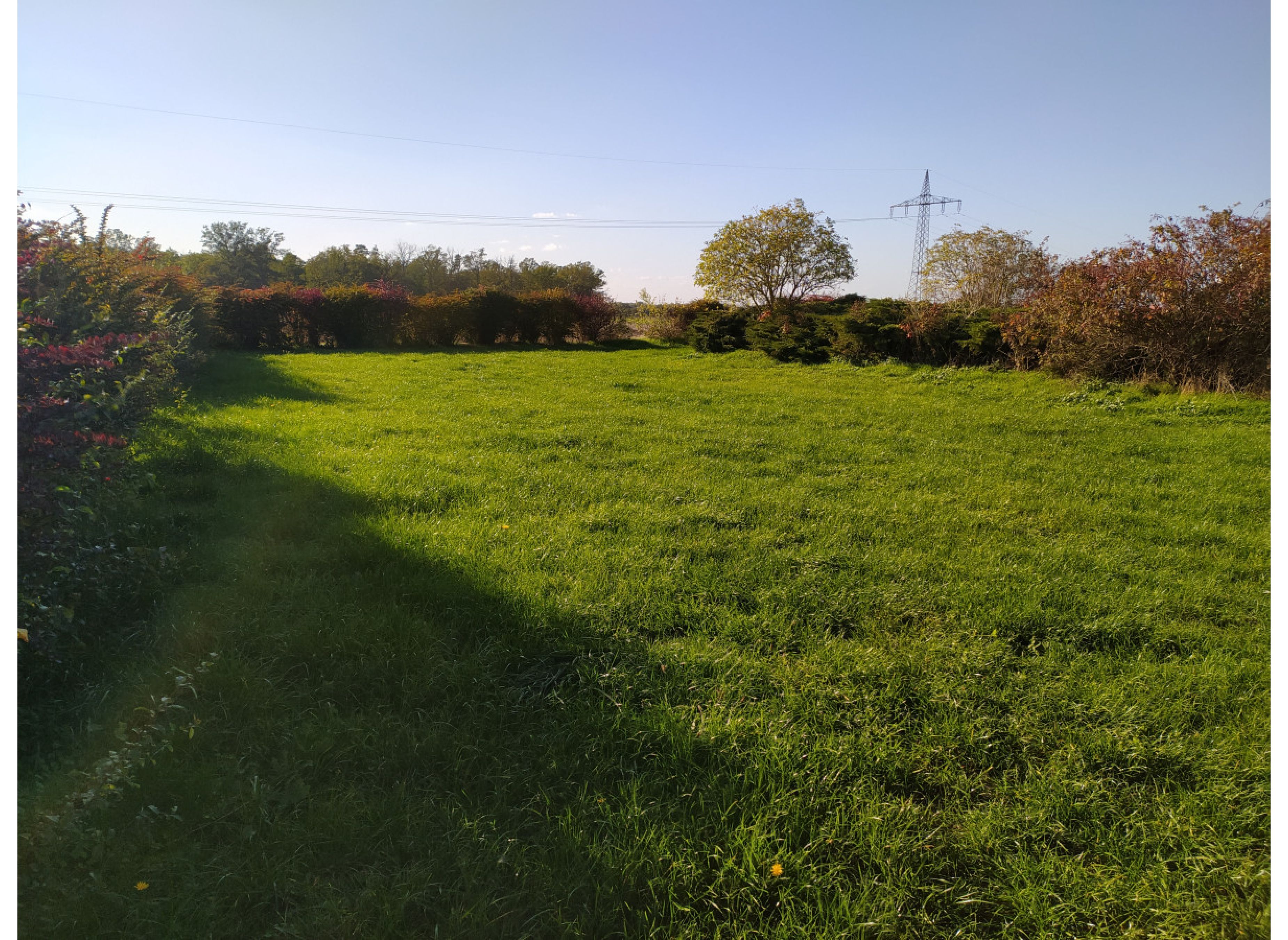 An der Bockwindmühle in Zierau — Photo 3