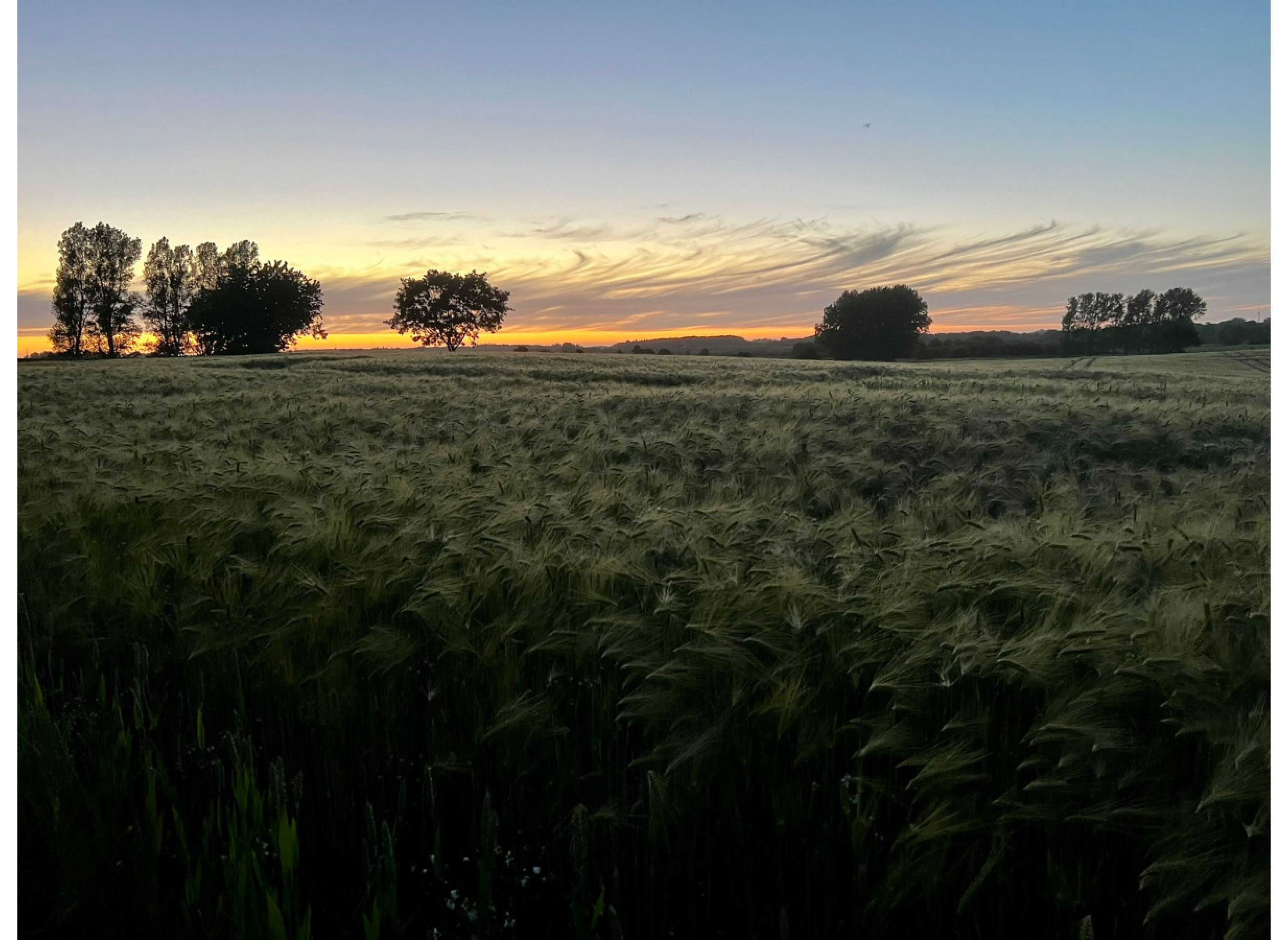 Herrlicher Weitblick in Marcanja #1