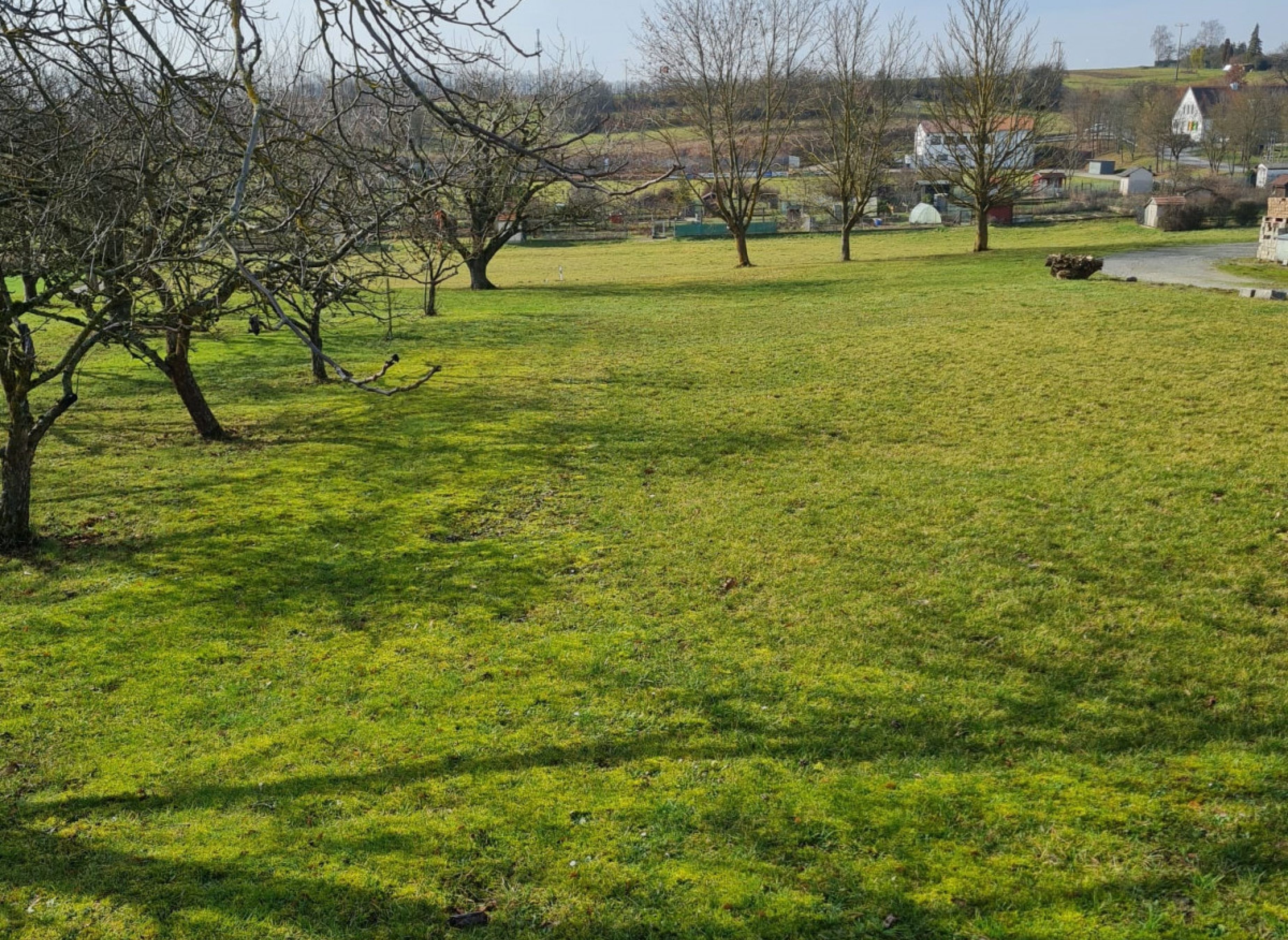 camping auf der obstbaumwiese in franken