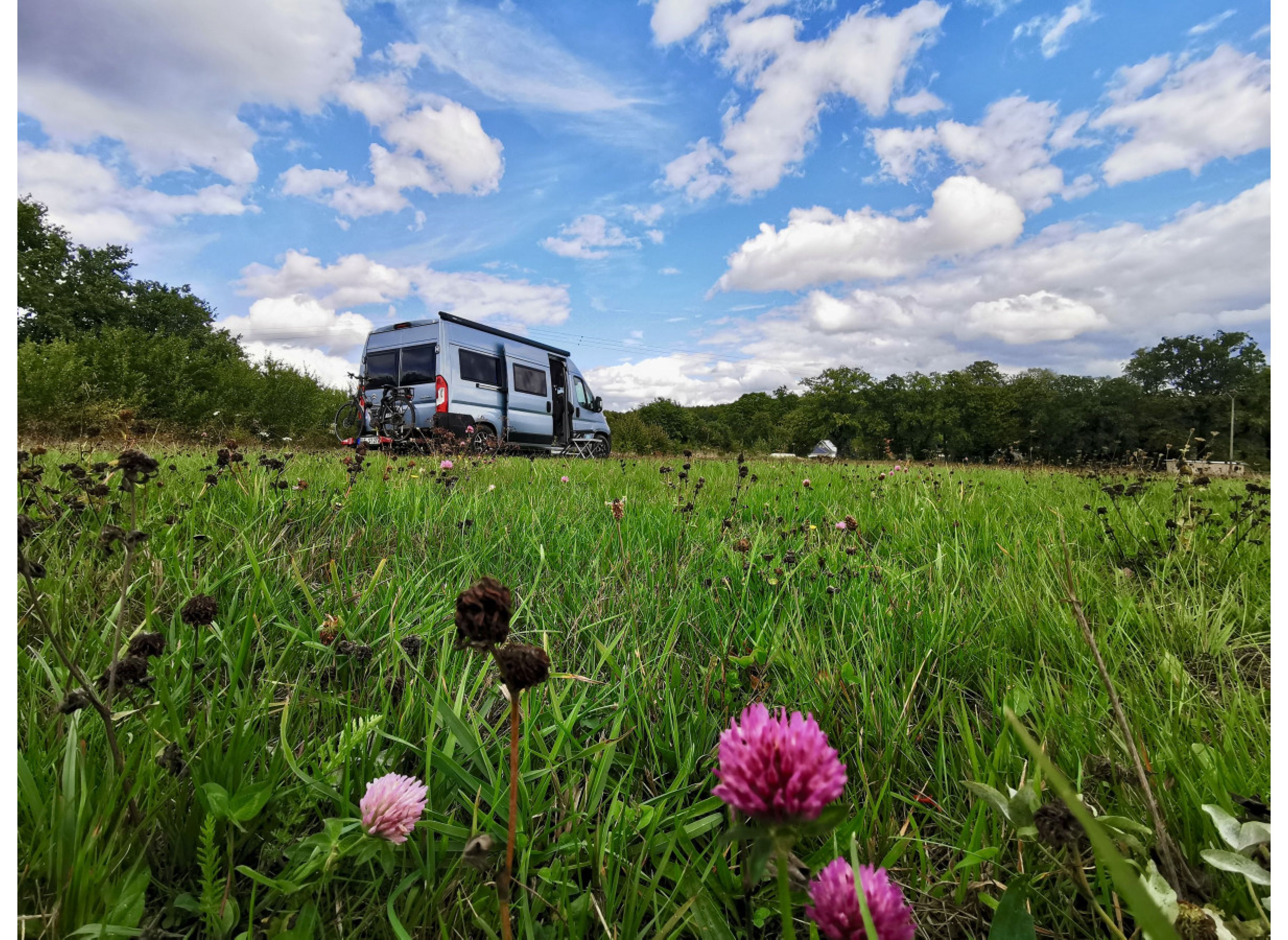 Wiese an der Apfelallee — Photo 2