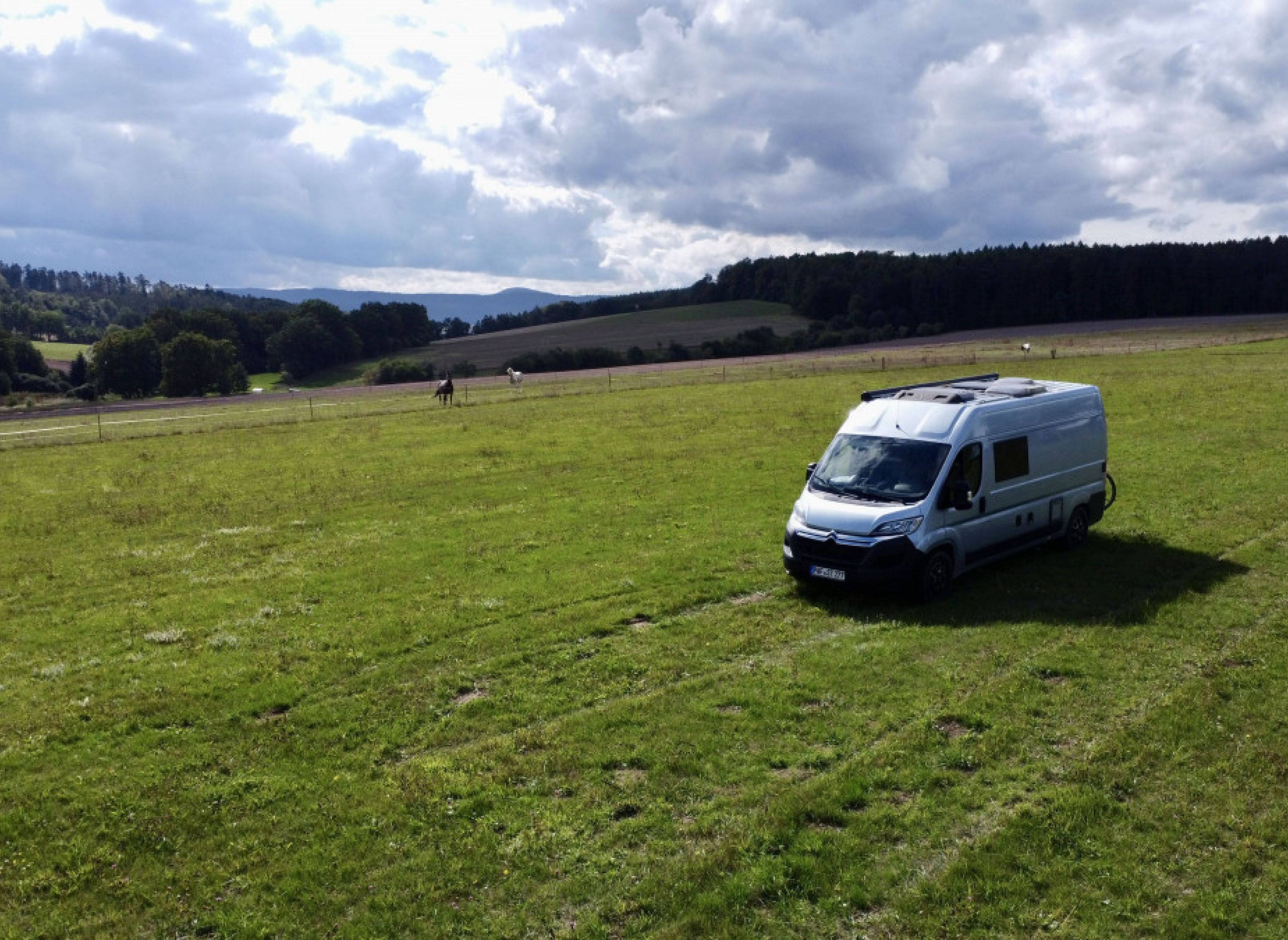 Wiese an der Apfelallee — Photo 3