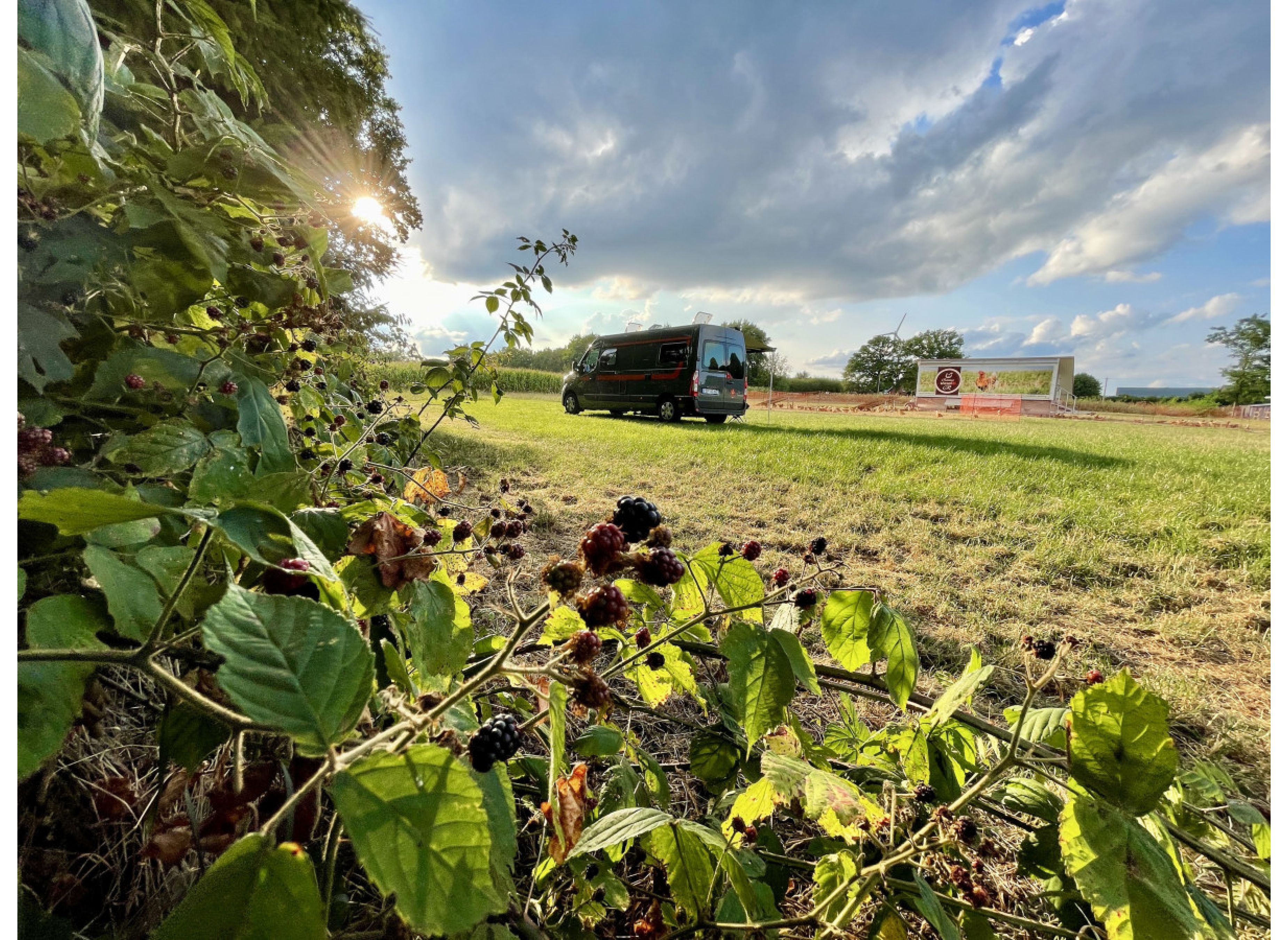 Beim Hühnermobil — Photo 3