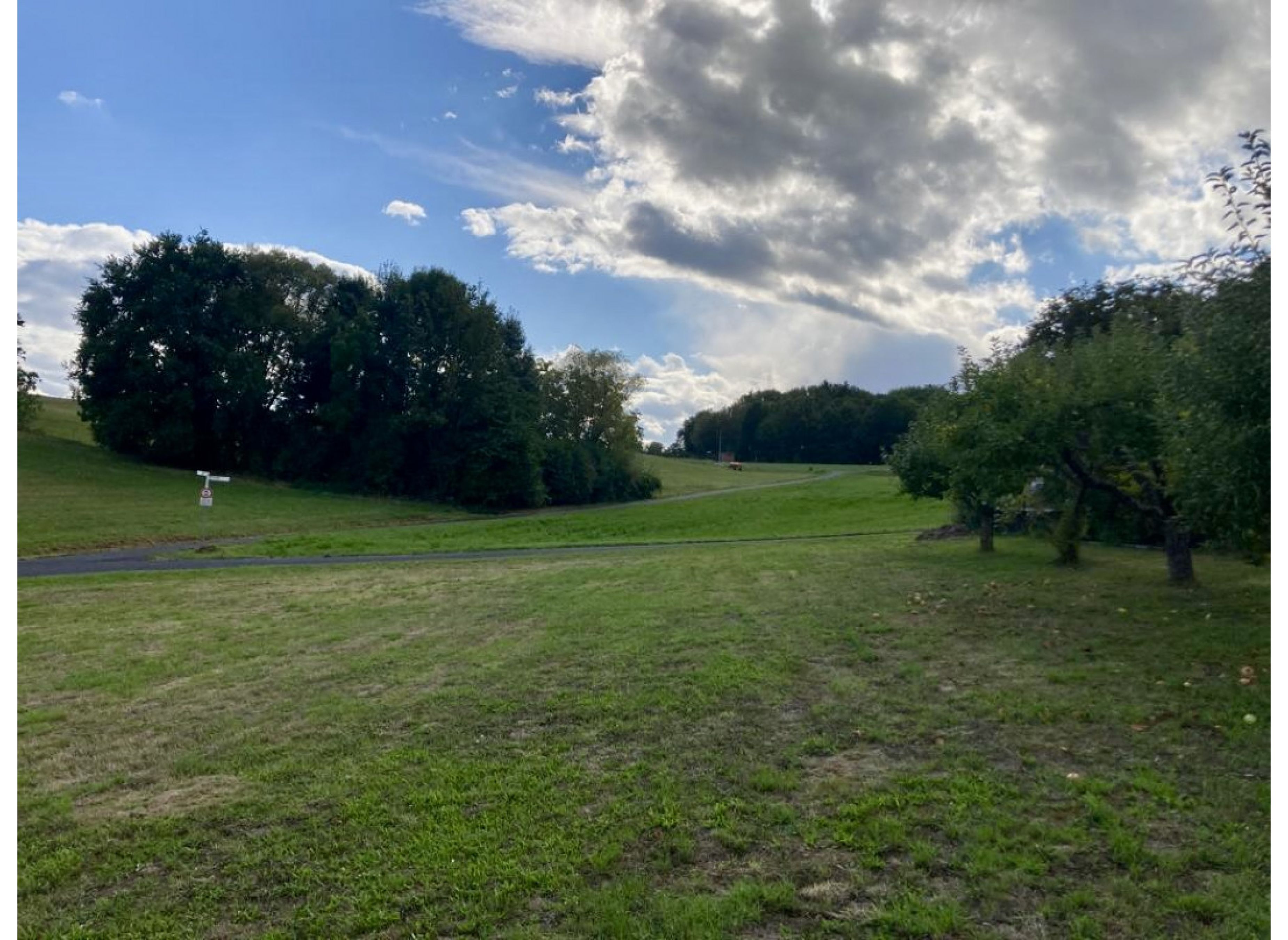 Einzelstellplatz in Freigericht Ortsrandlage mit Blick auf Wiesen und Äcker — Photo 3