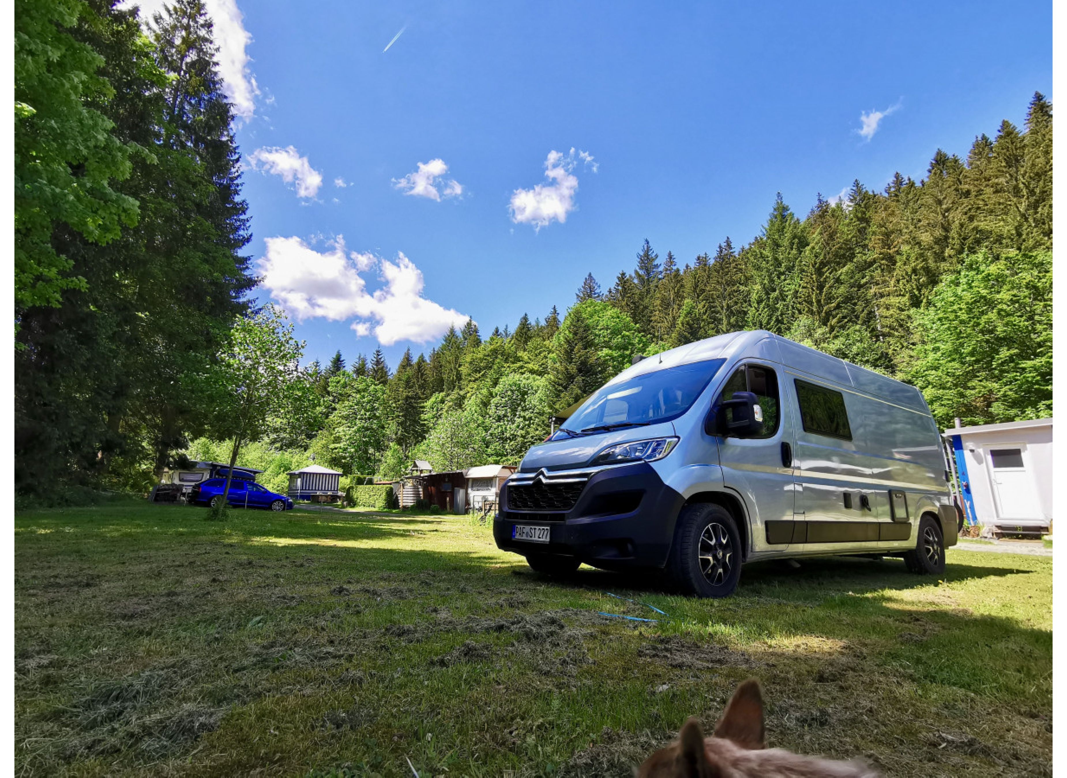 Naturpark Schwarzwald #5 — Photo 2