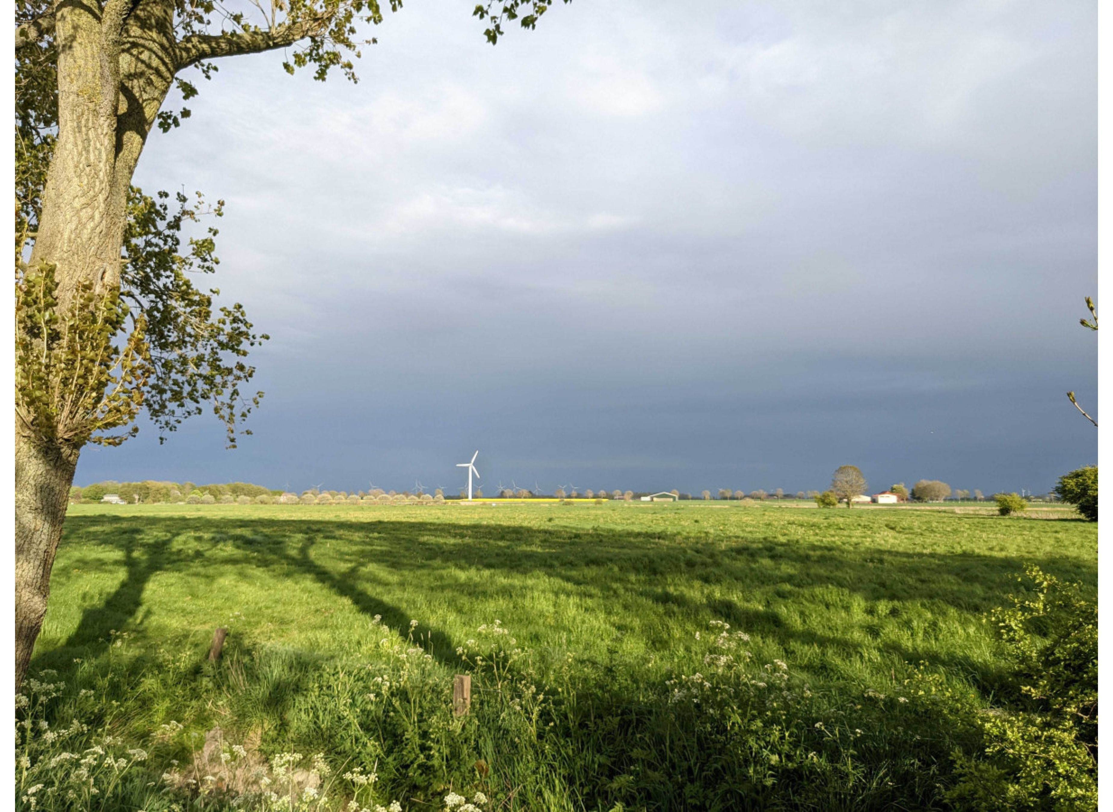 Camping an der Nordsee zwischen Greetsiel und Norden — Photo 3