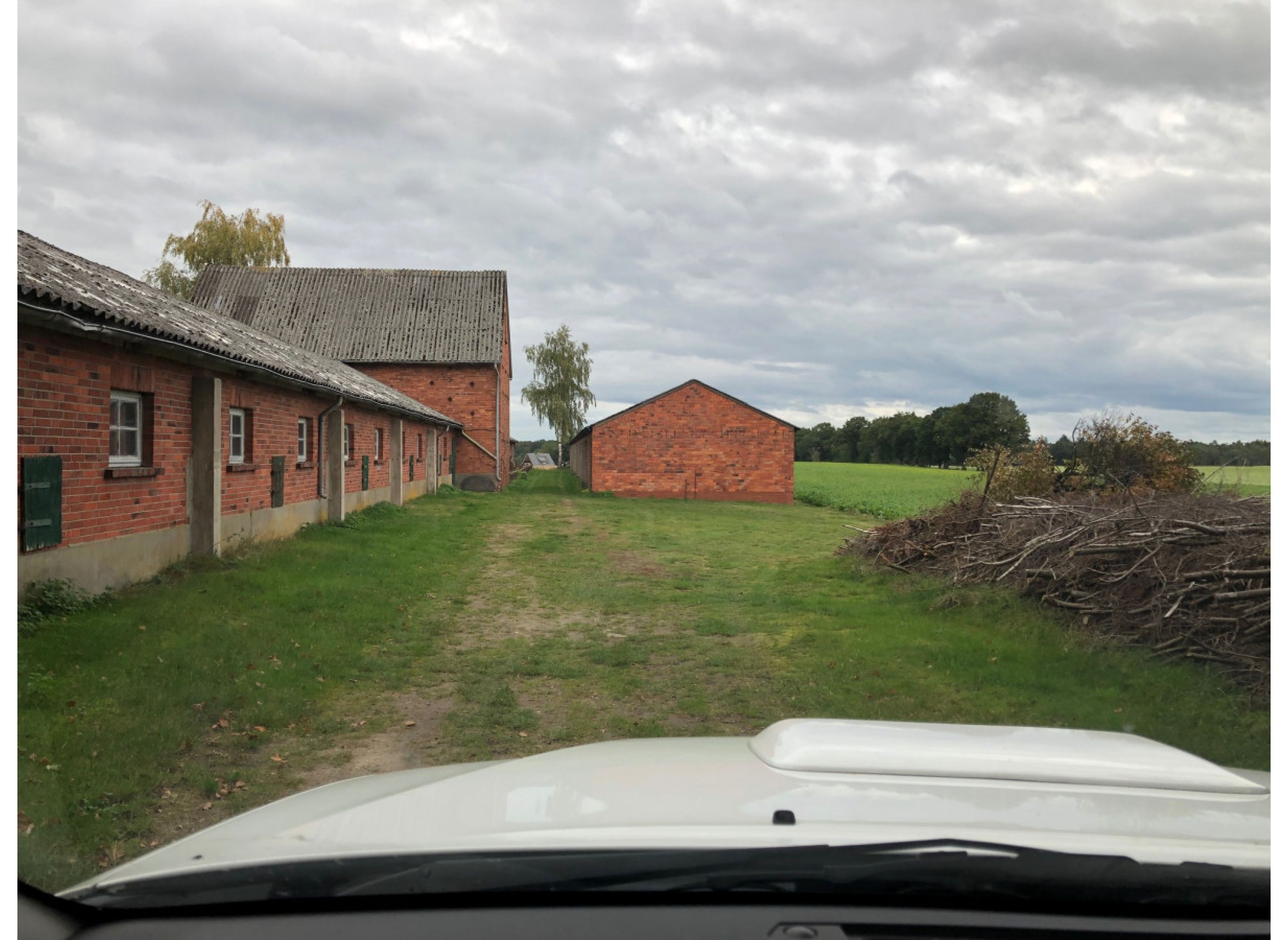 In Alleinlage in Steinfeld #2