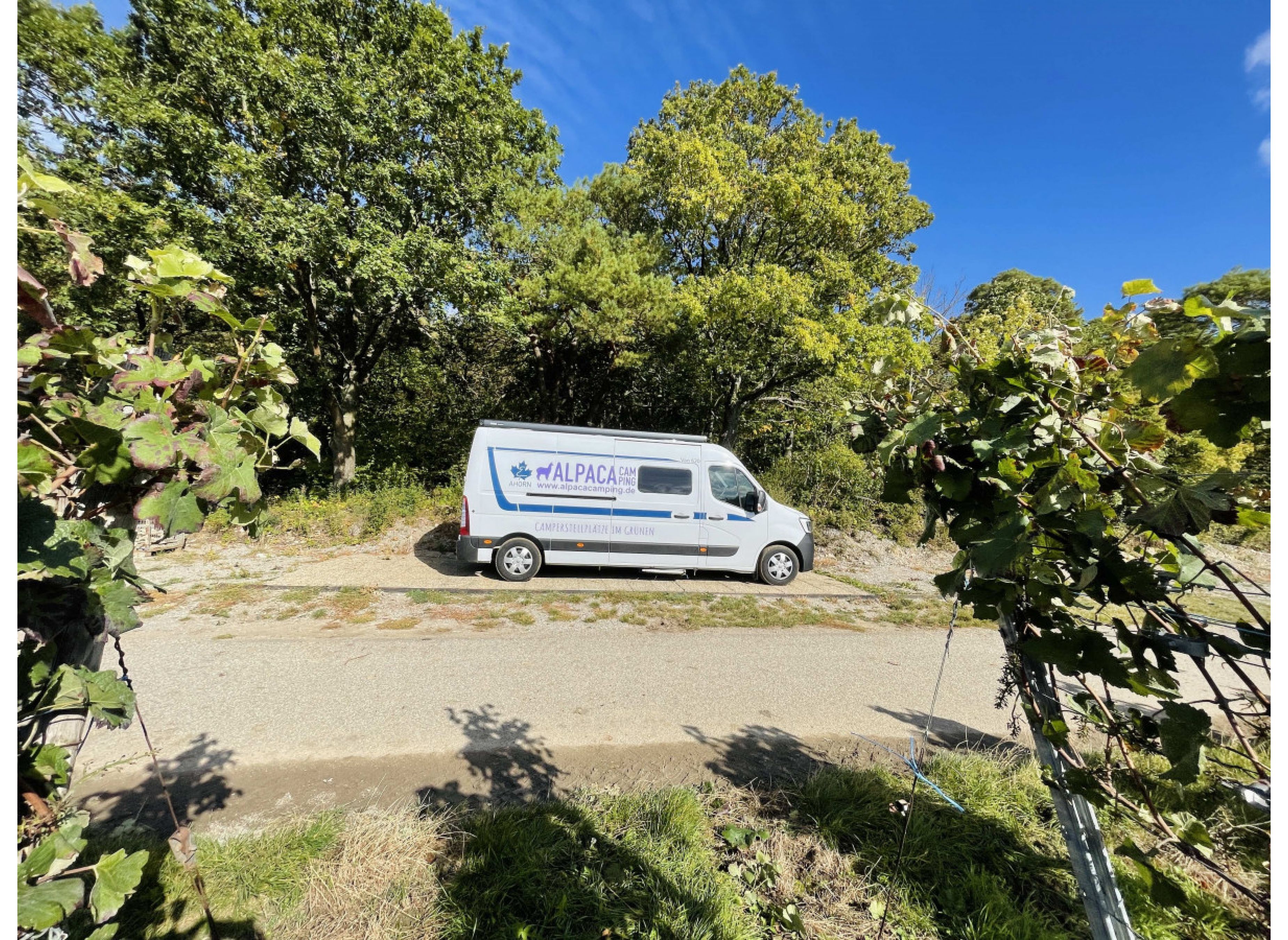 Einzelstellplatz direkt beim Winzer in Beckstein / Lauda - Königshofen