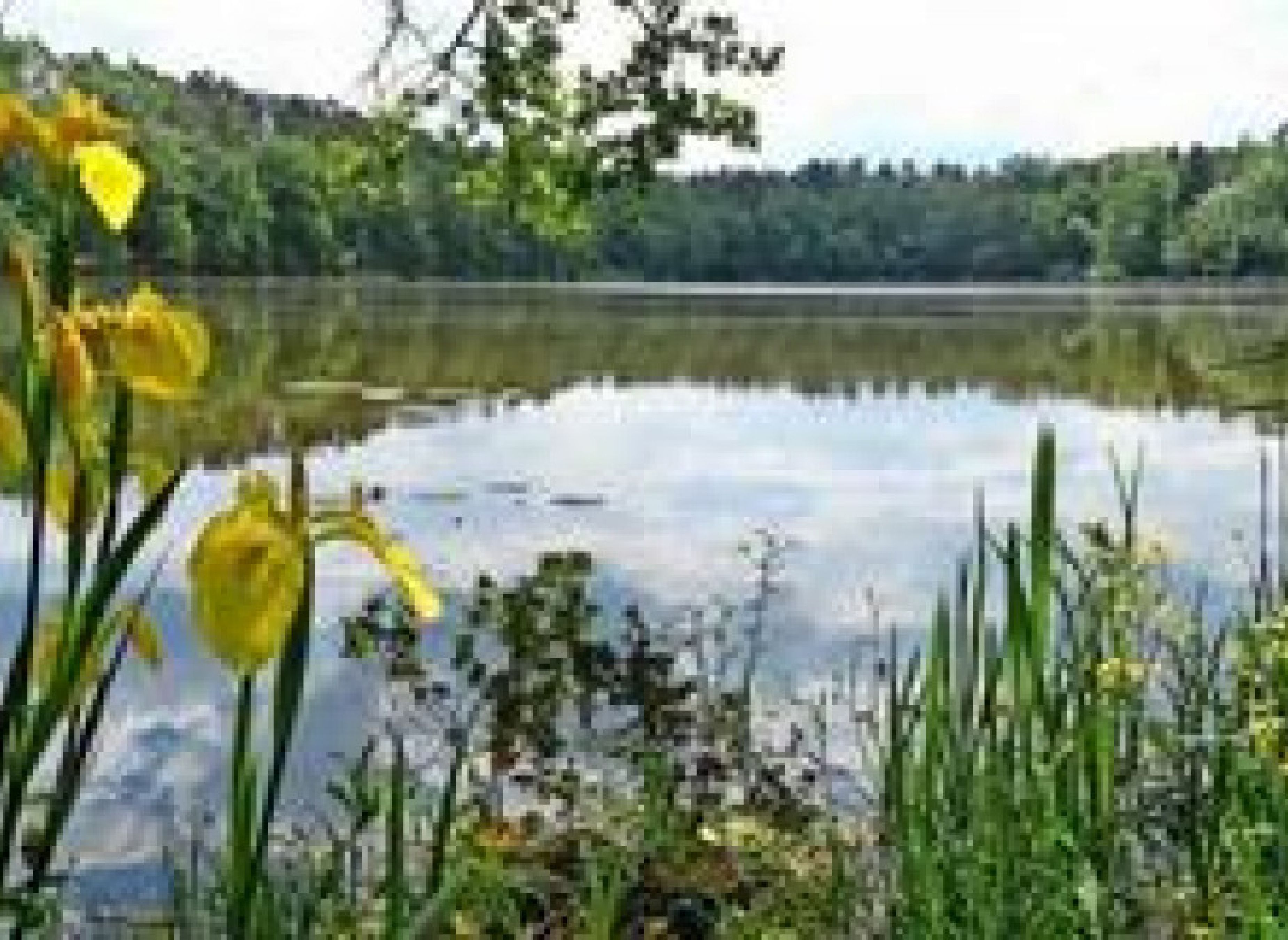 Inmitten des Naturparks Westhavelland (Wohnwagen zu vermieten)