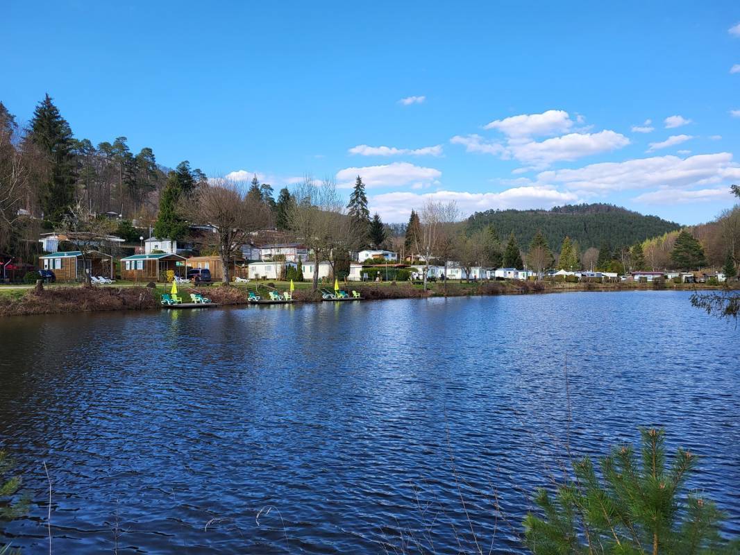 Camping du Mulenbach — Photo 3