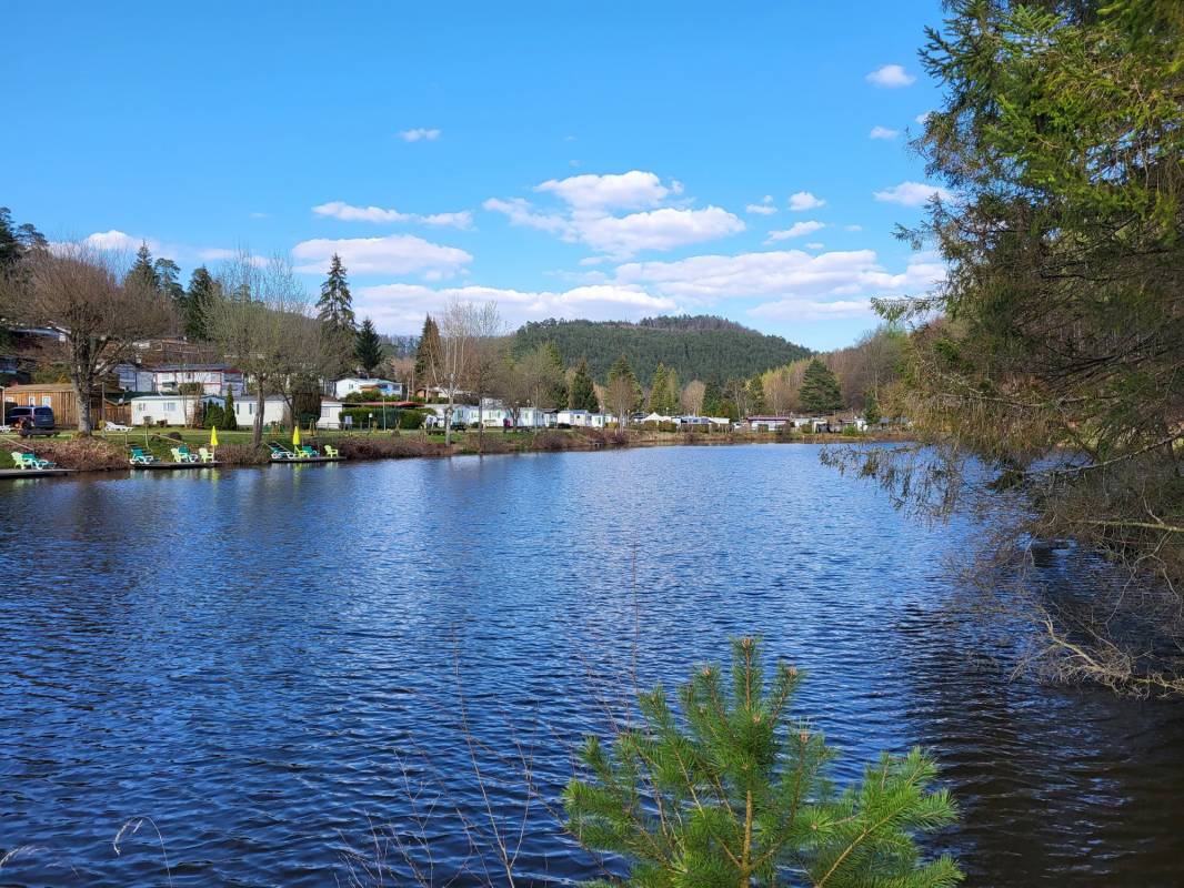 Camping du Mulenbach — Photo 2