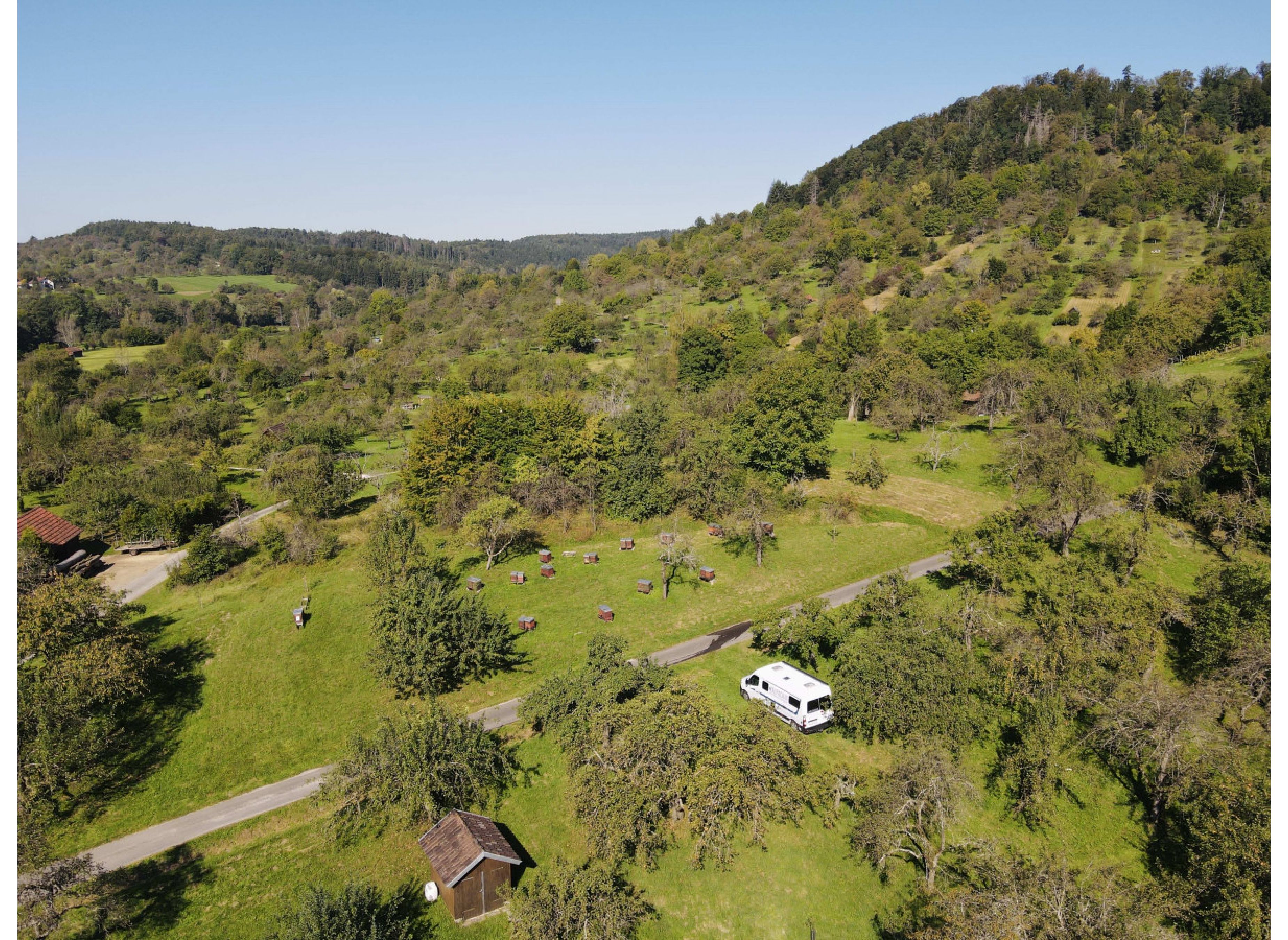 Bio Streuobstwiese Urbacher Idylle