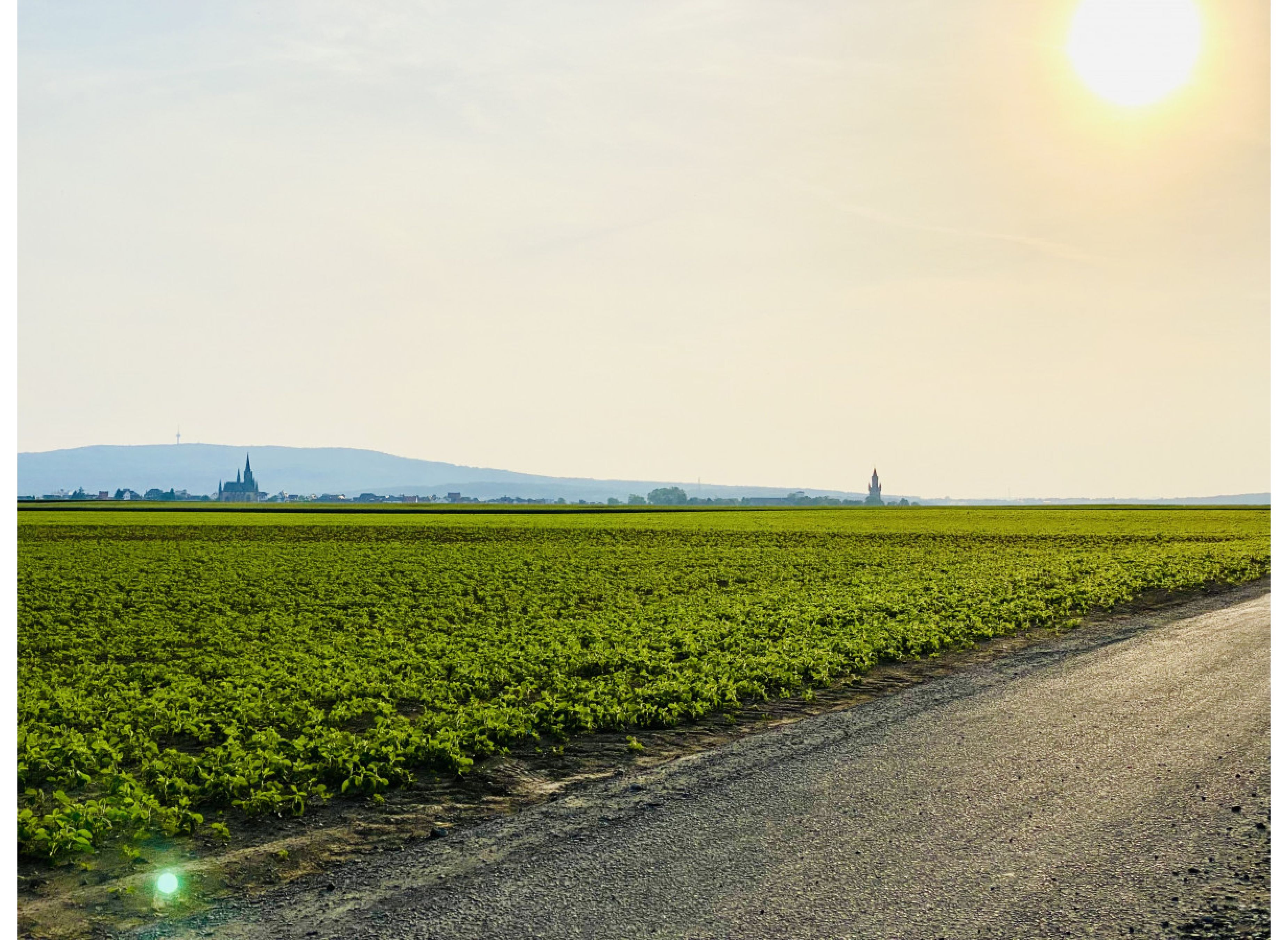 Stellplätzchen auf dem Hof #3