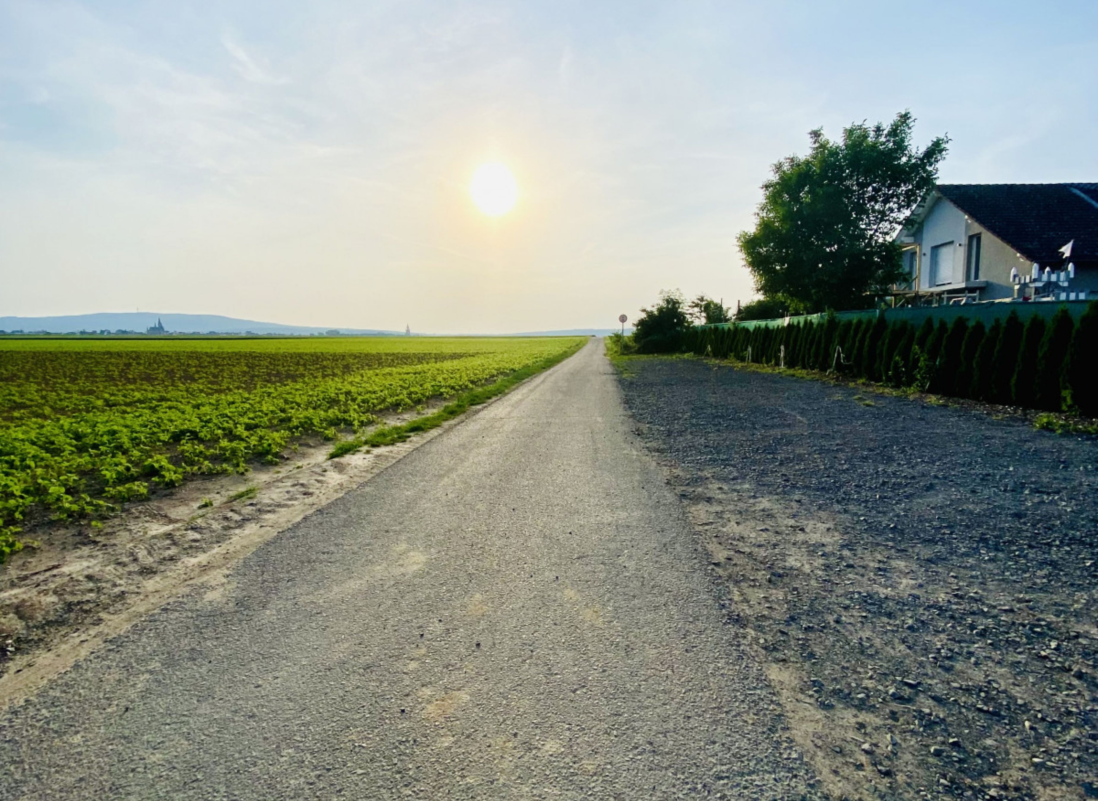 Stellplätzchen auf dem Hof #3 — Photo 2