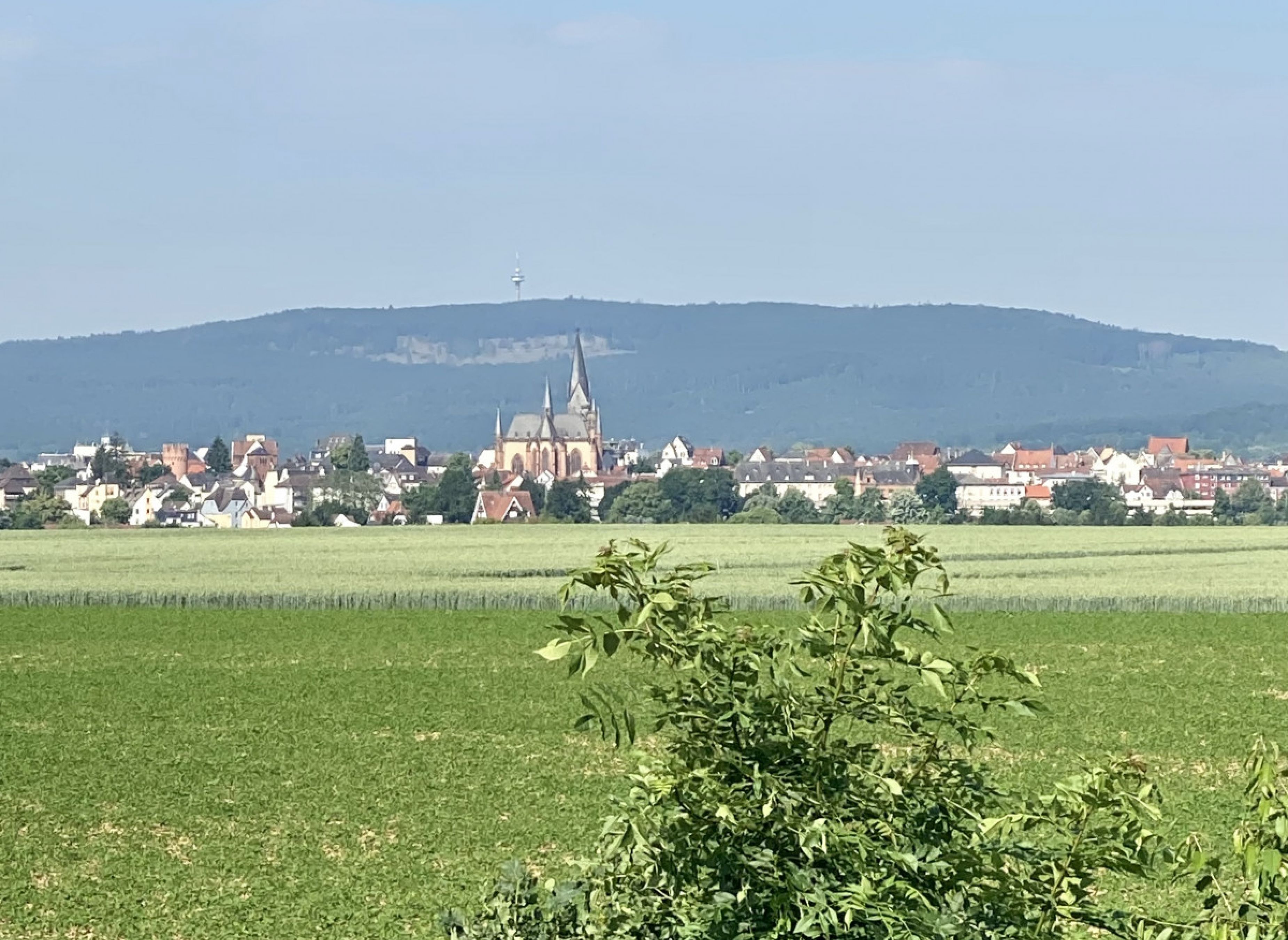 Stellplätzchen auf dem Hof #3 — Photo 3