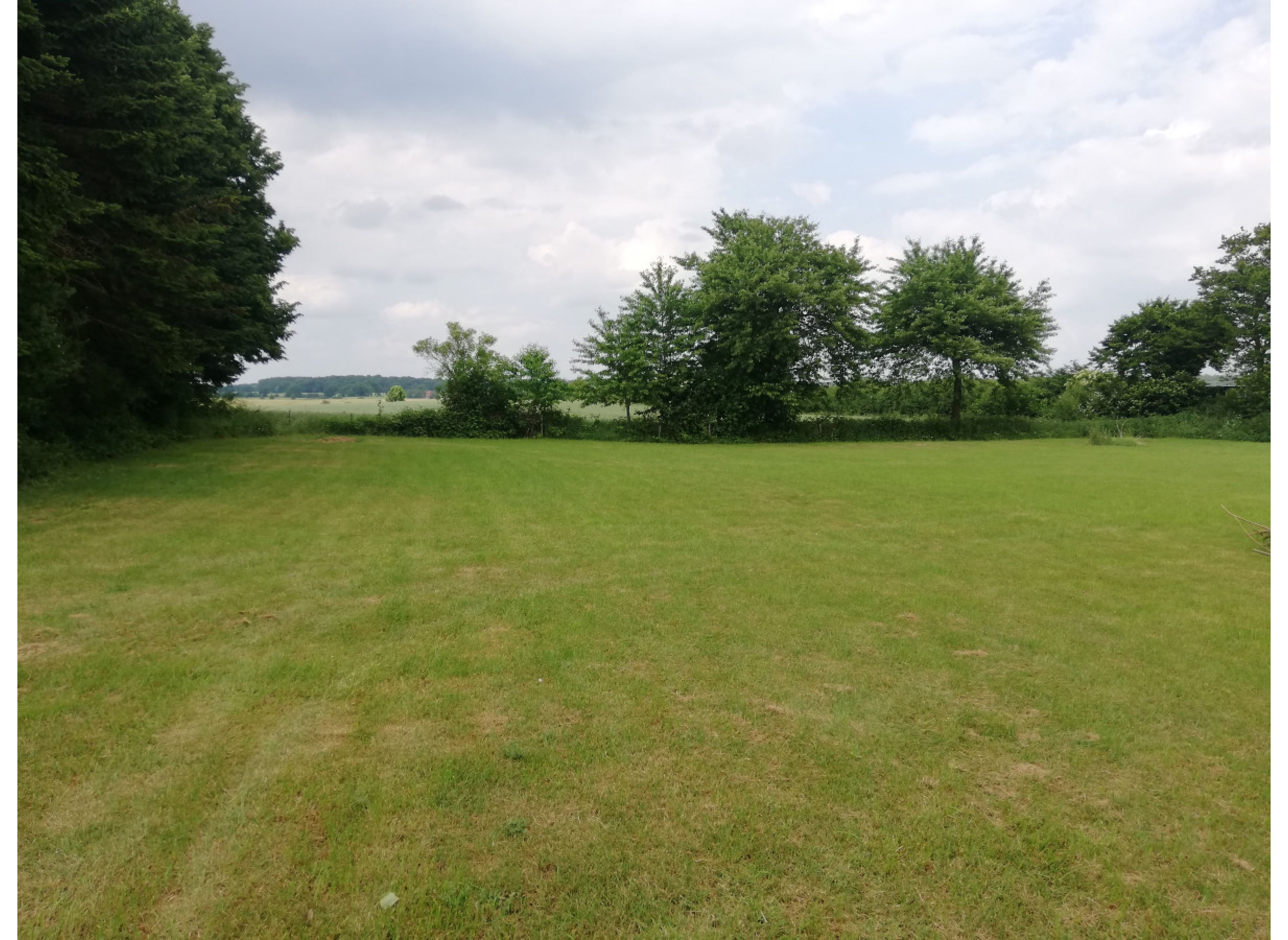 Wiese in der Schleswigholsteinischen Schweiz — Photo 2