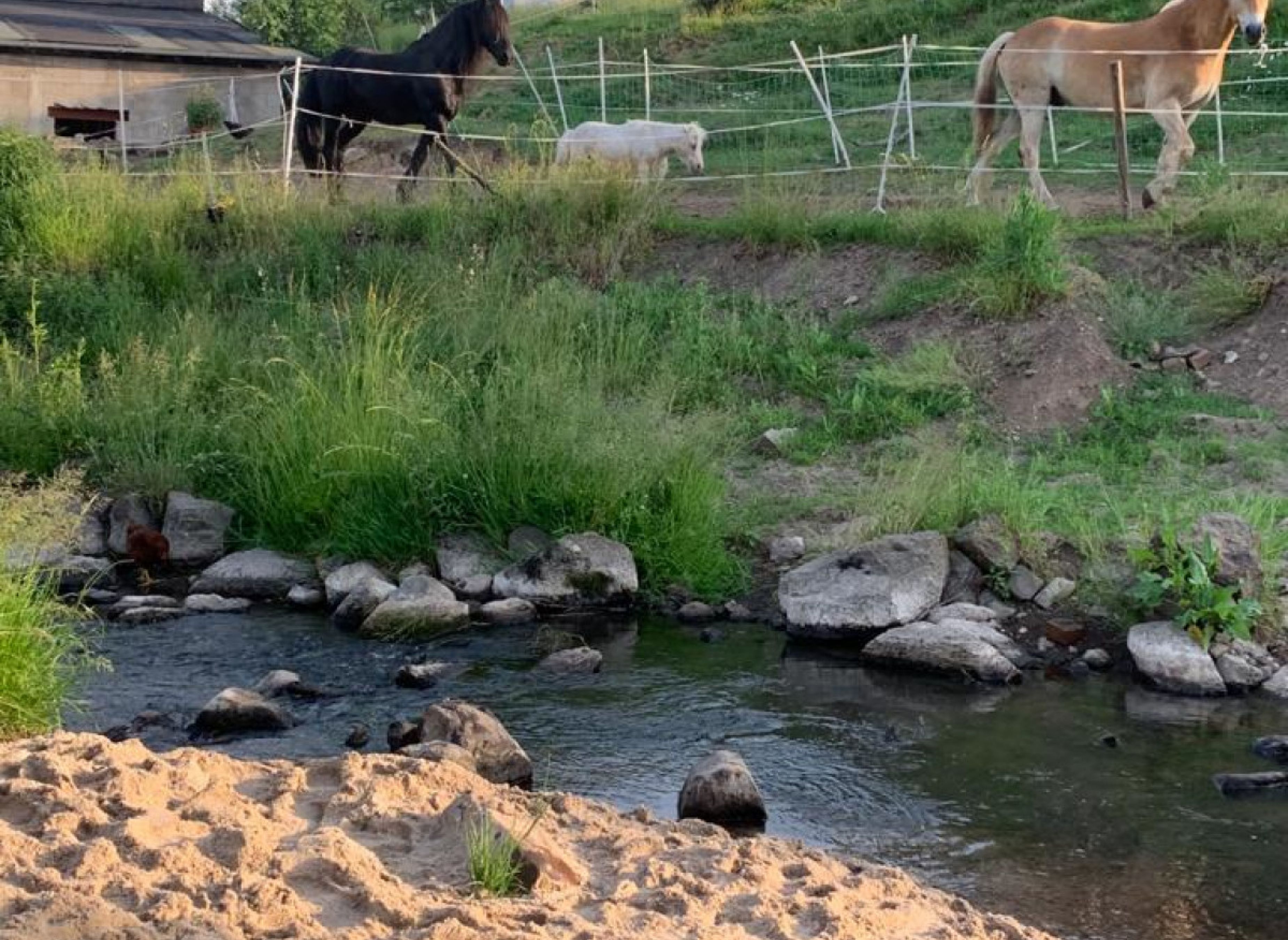 Idylle am Elbbach — Photo 2