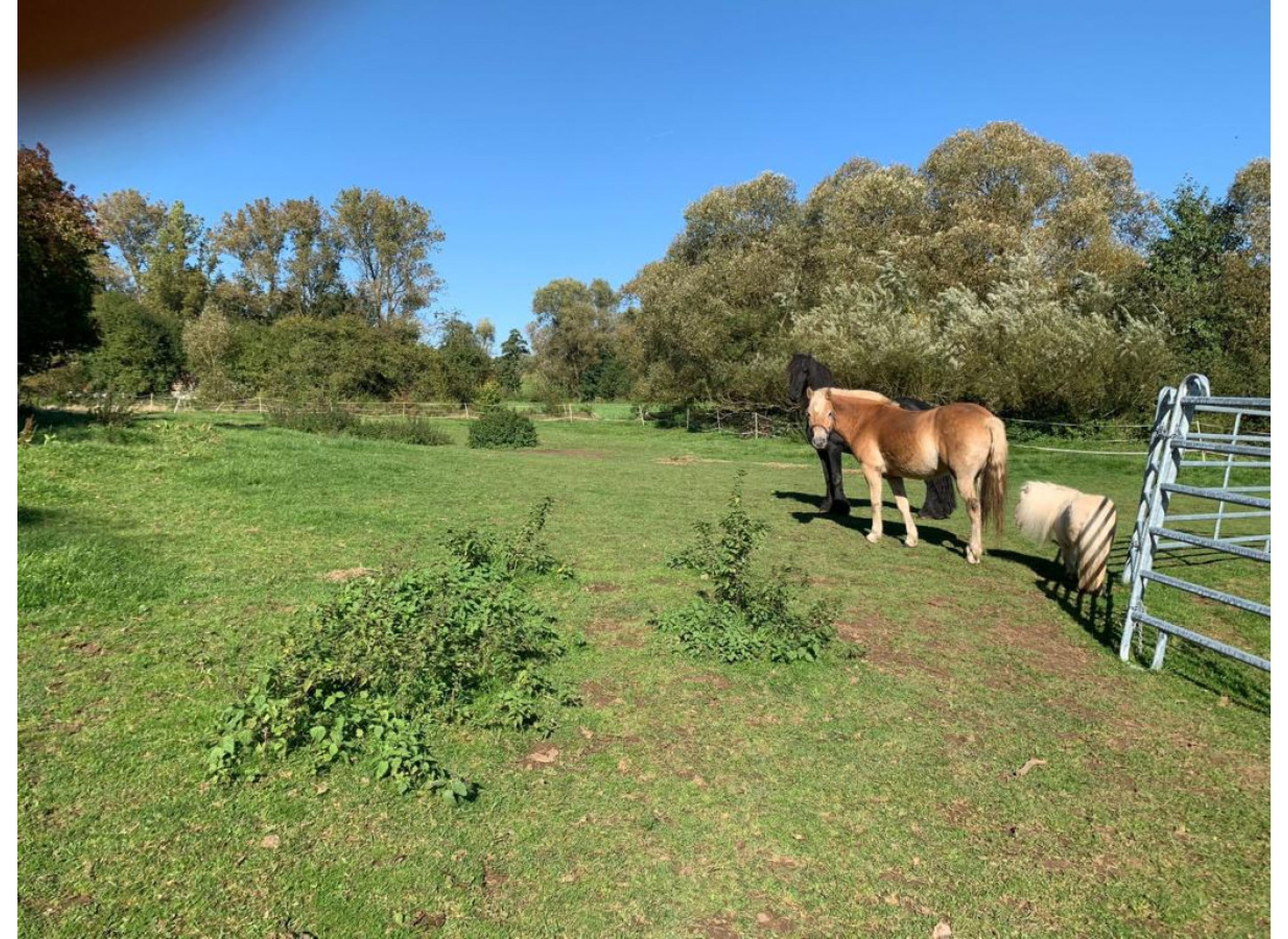 Idylle am Elbbach — Photo 3