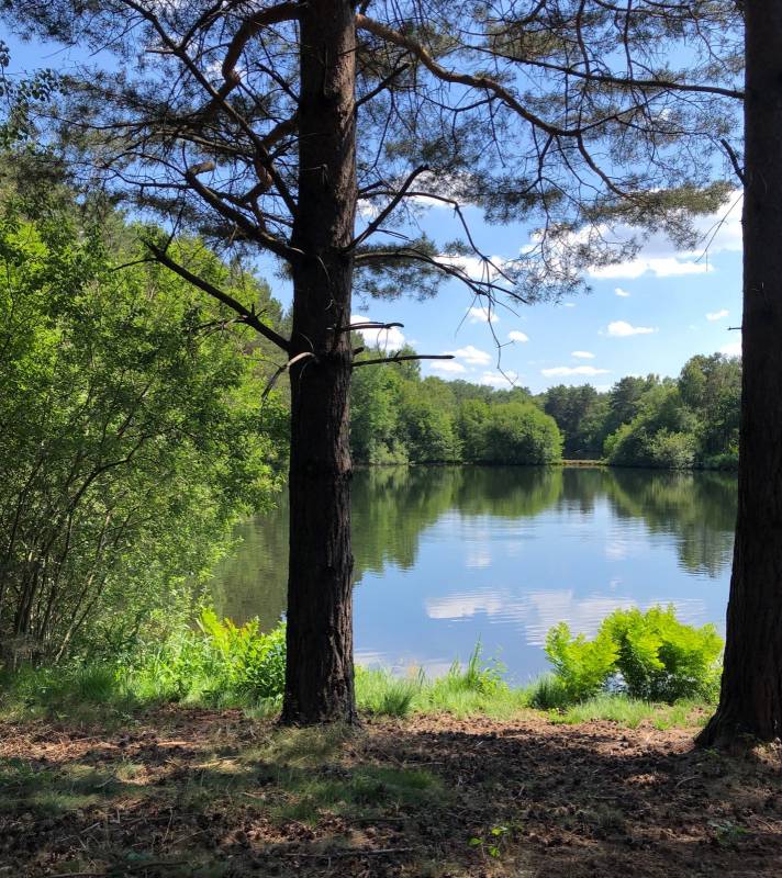 Wohnmobilcamp Småland am Harkebrügger See — Photo 4