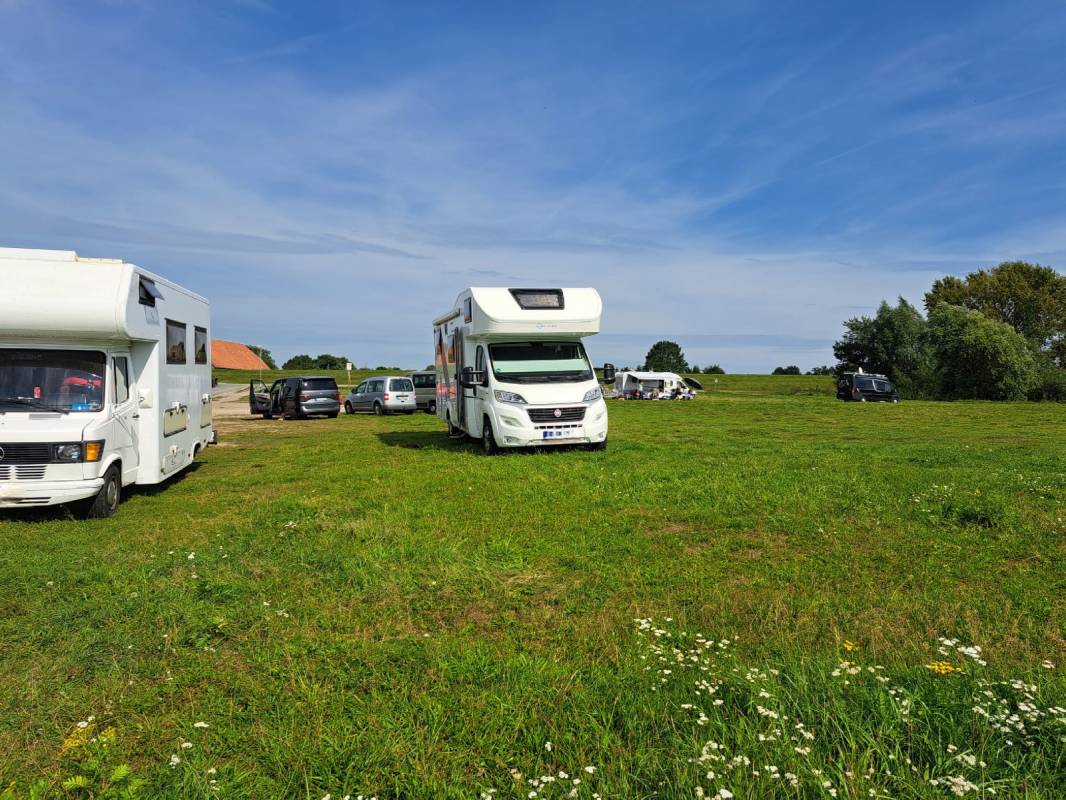 Fähranleger Darchau — Photo 6