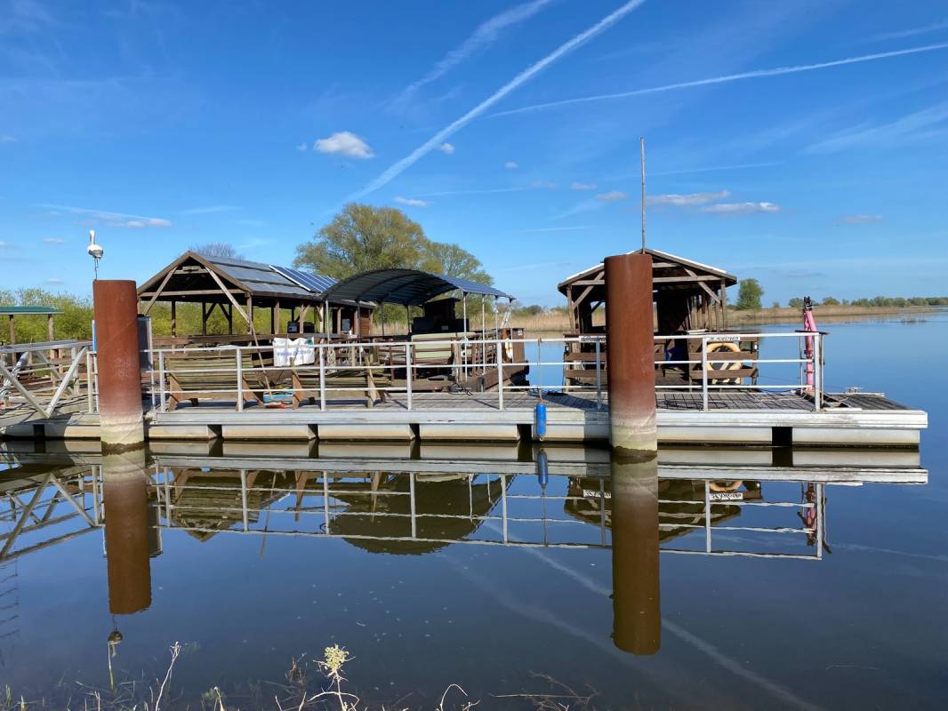 Fähranleger Darchau — Photo 4