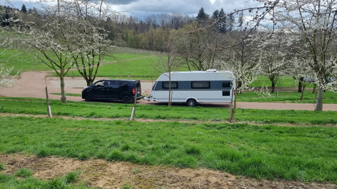 Wiesencamp Wörner — Photo 3