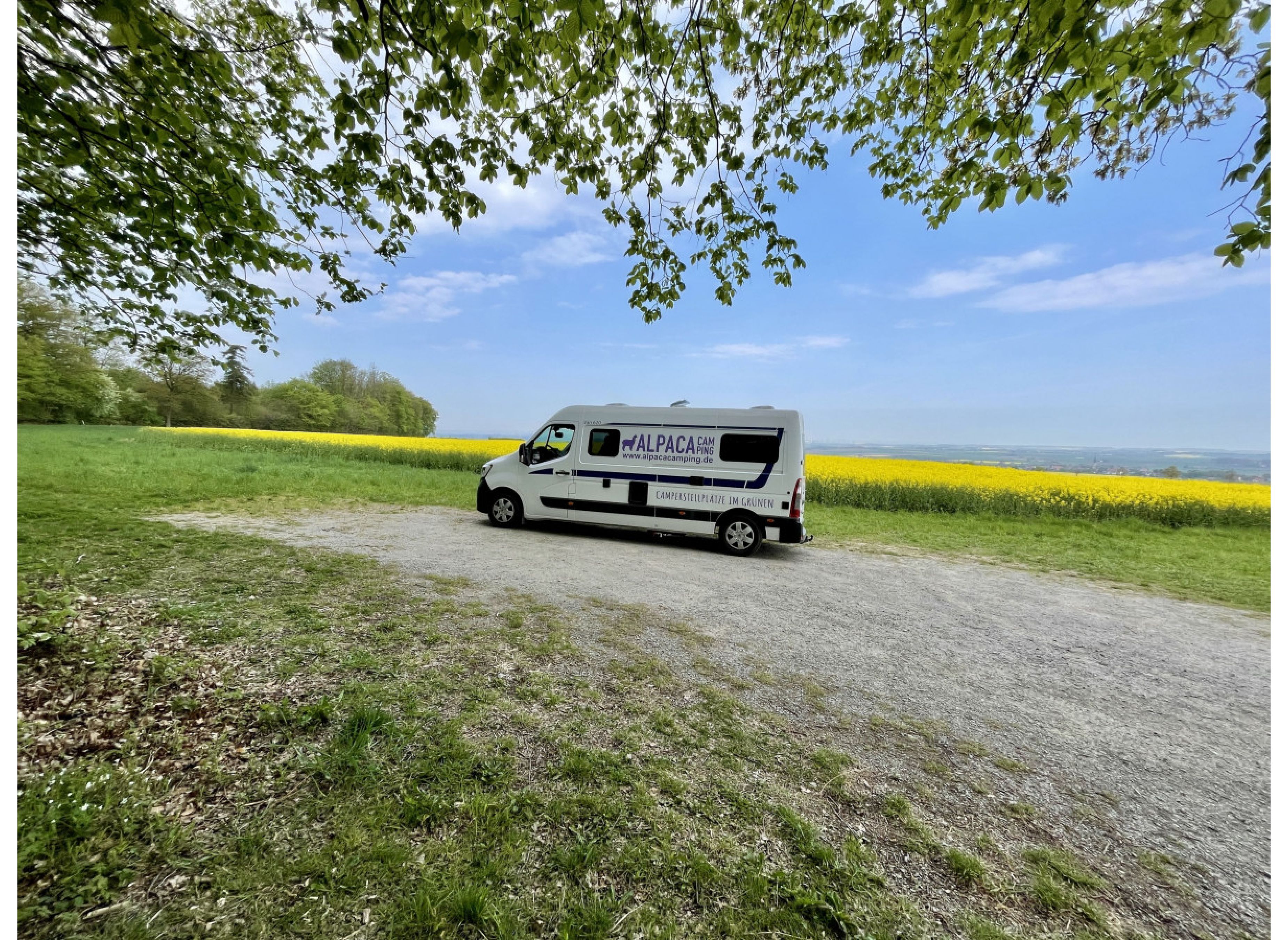 Weitblick vor dem Wald — Photo 2