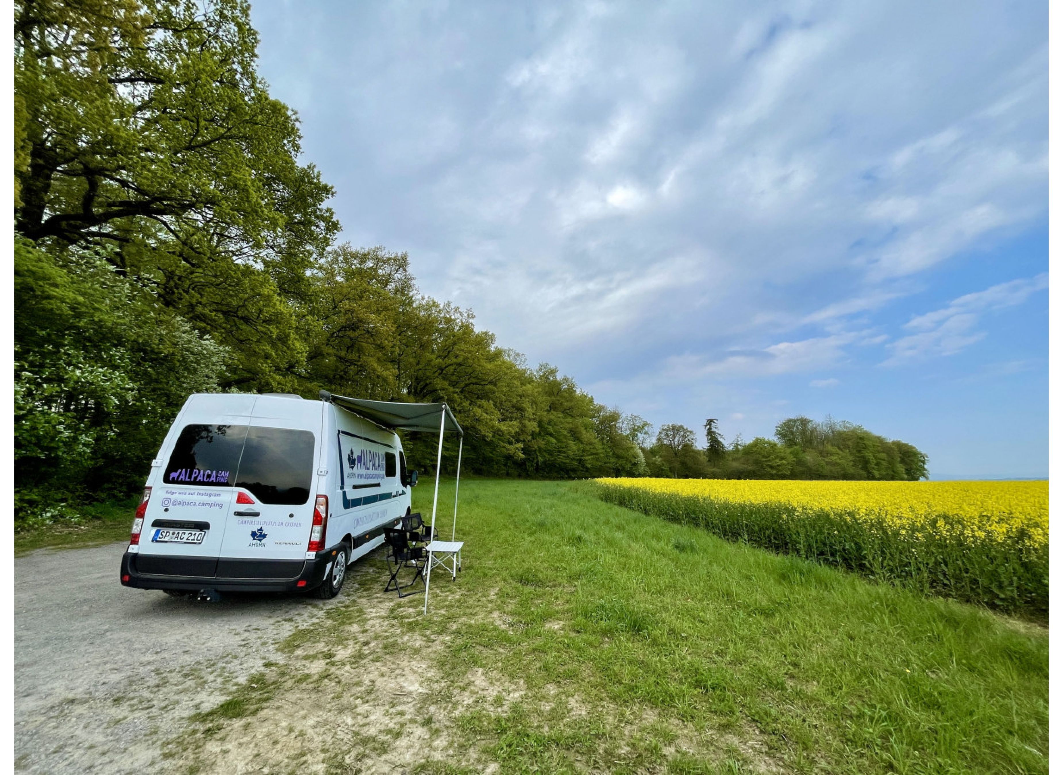 Weitblick vor dem Wald — Photo 3