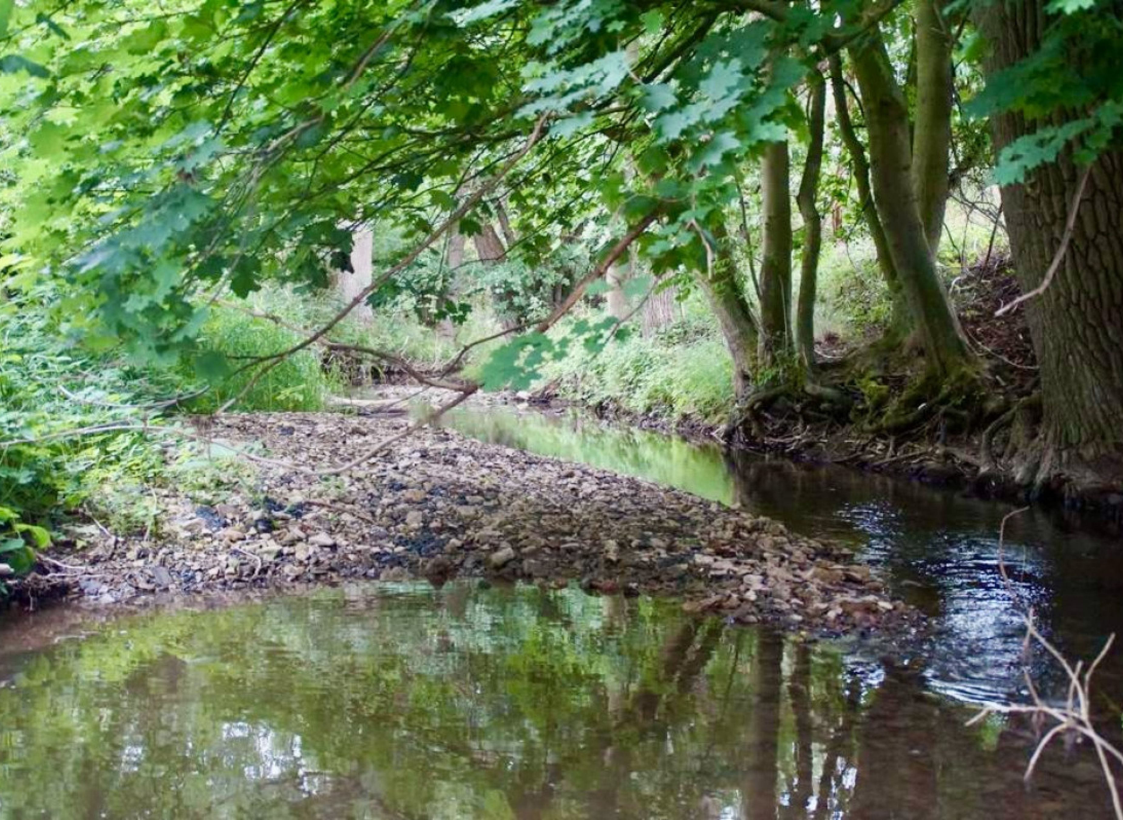 Idyllischer Stellplatz direkt am Flussufer #2