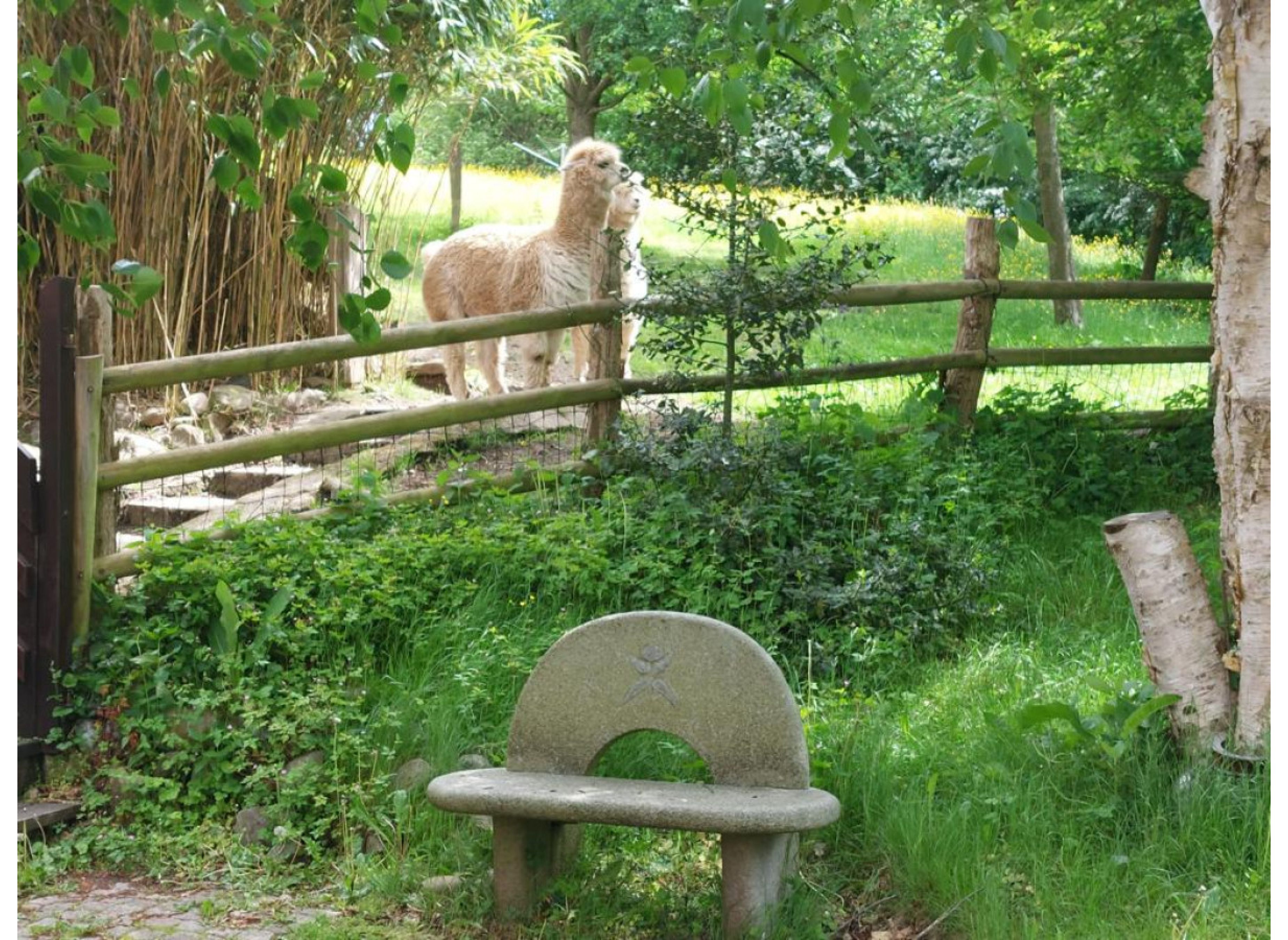 Bus/Camper Stellplatz in Kiel Wellsee — Photo 2