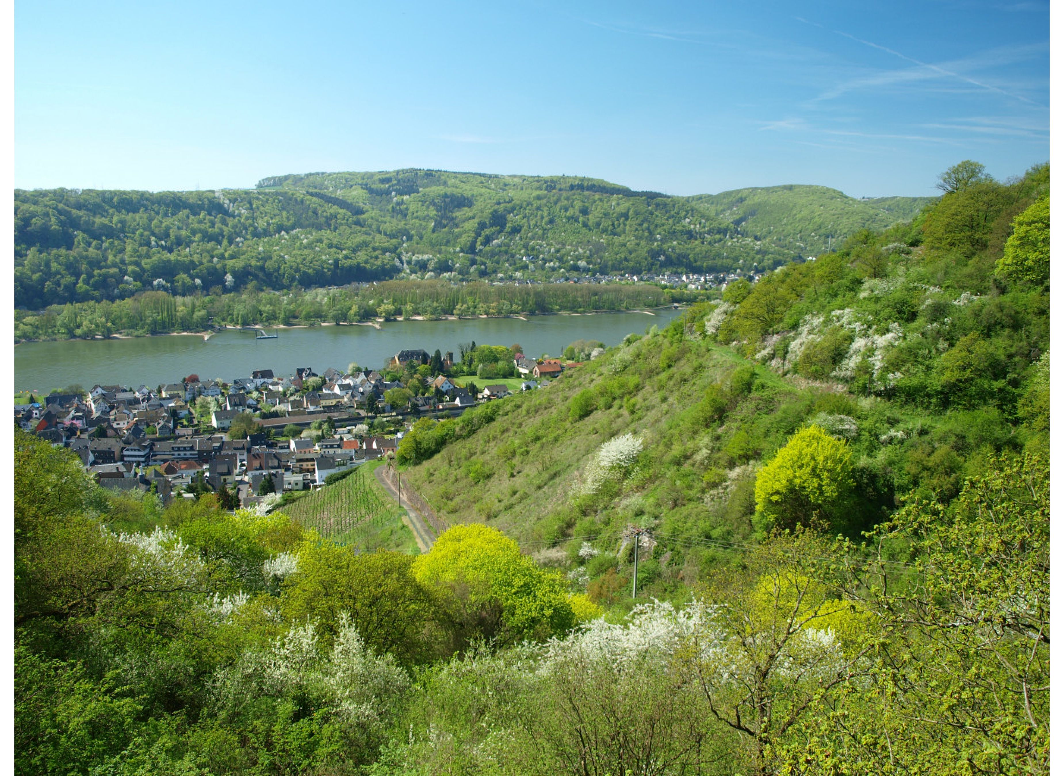 Wunderschöner Stellplatz in einem Wildpark oberhalb des Rheintals