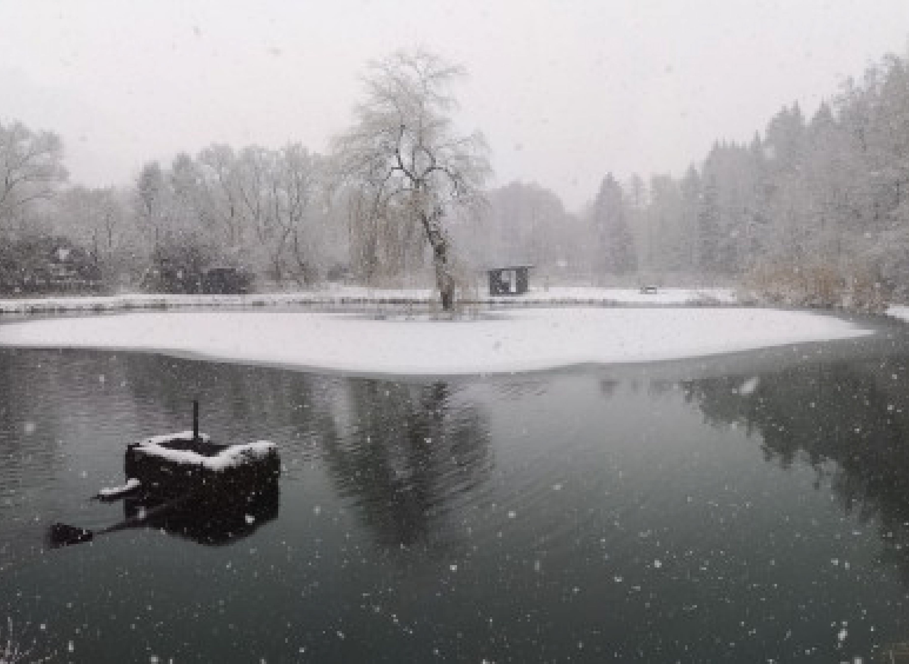 Ruhiger Stellplatz in einem Angelpark