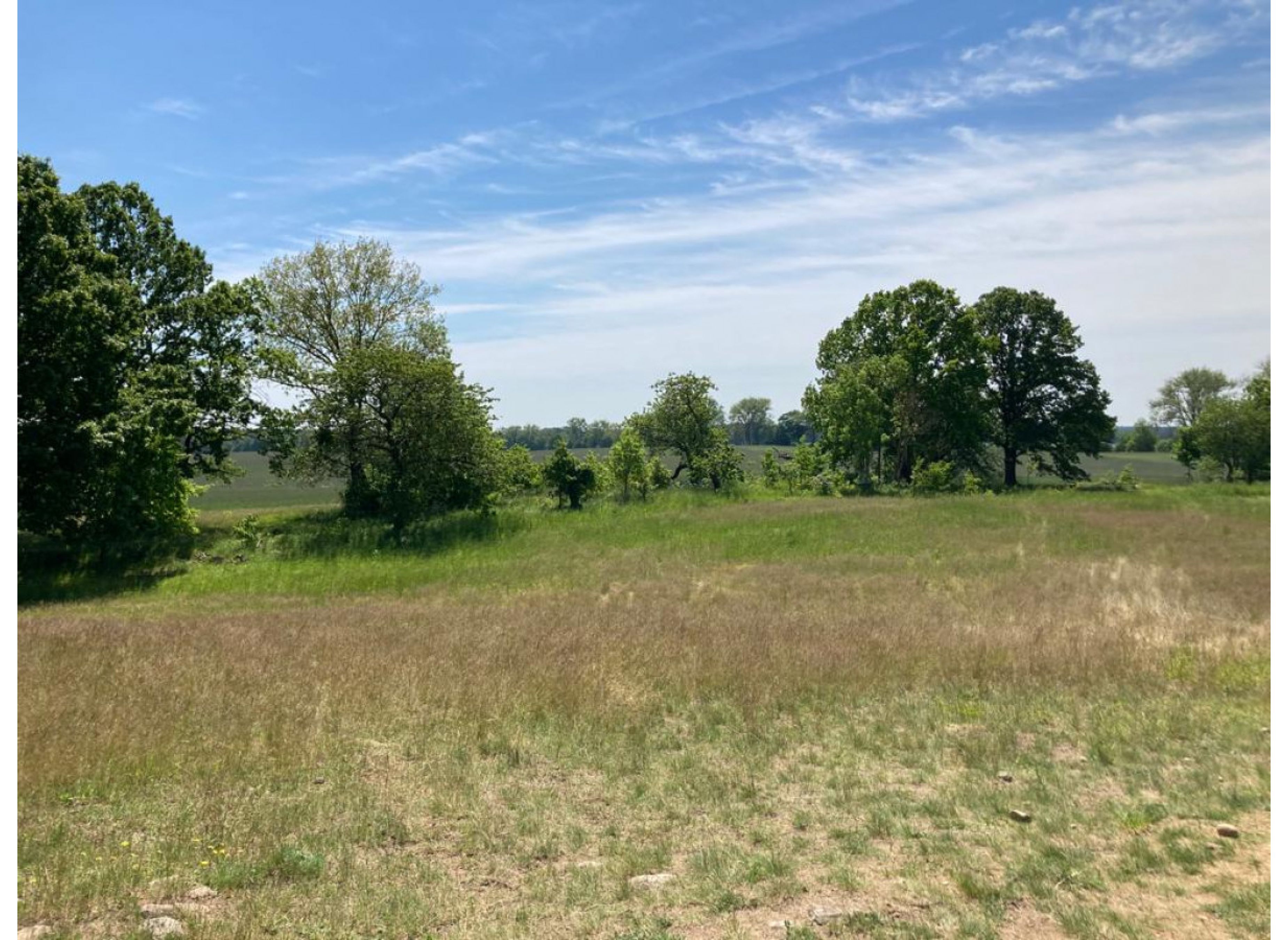 Alte Kirschen Allee — Photo 3