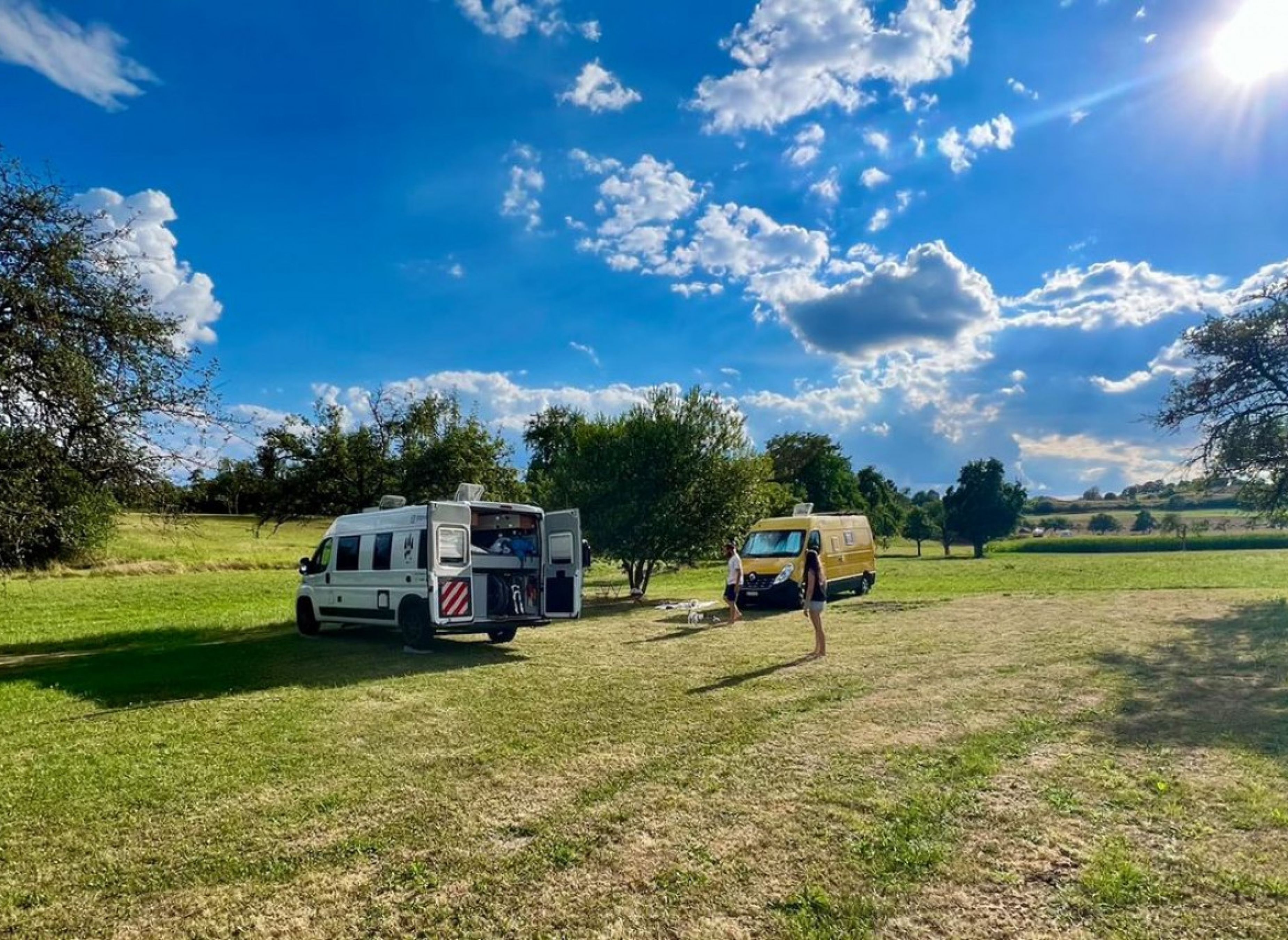 Umgeben von Bäumen auf einer grünen Wiese