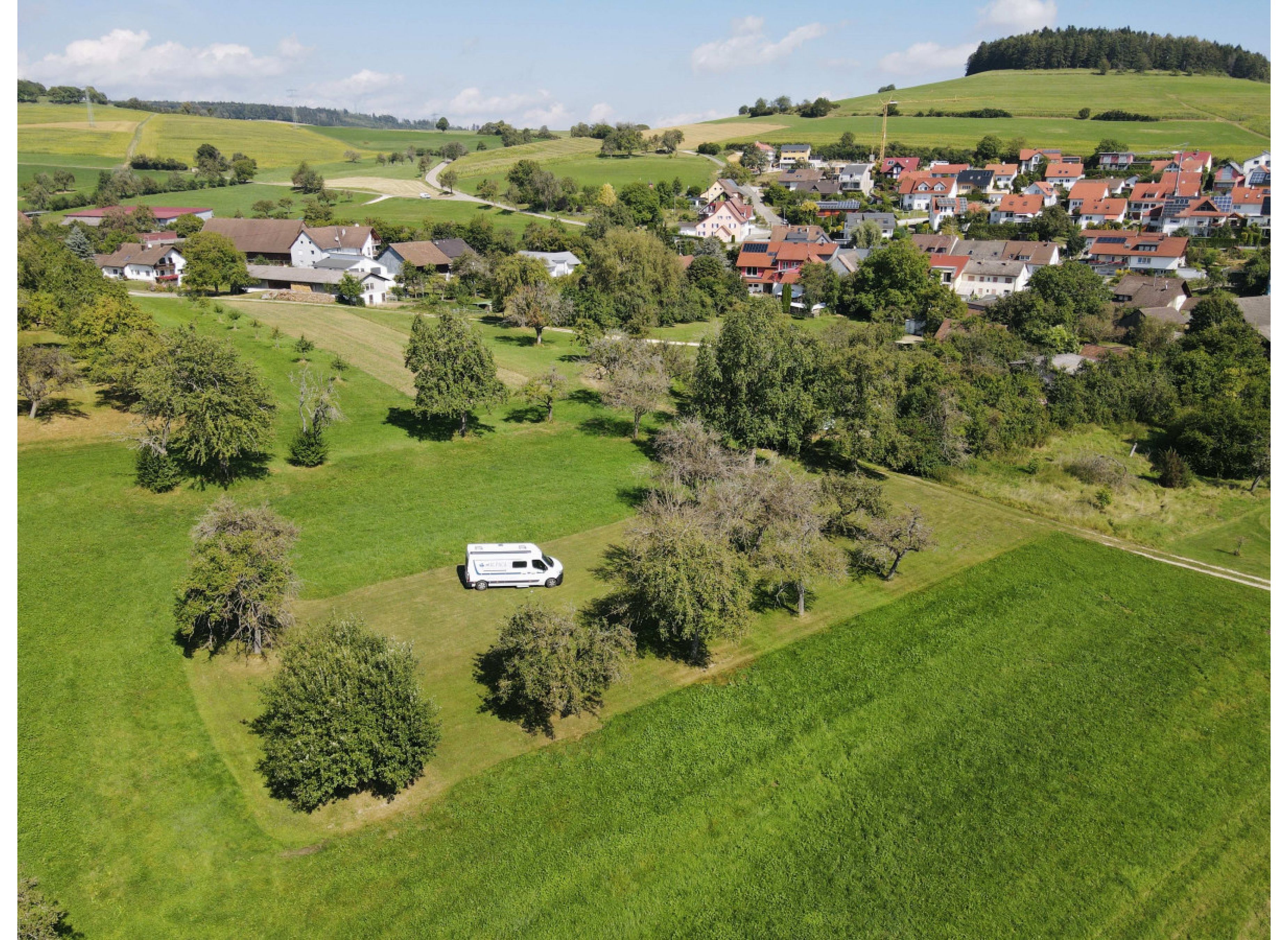Umgeben von Bäumen auf einer grünen Wiese — Photo 3
