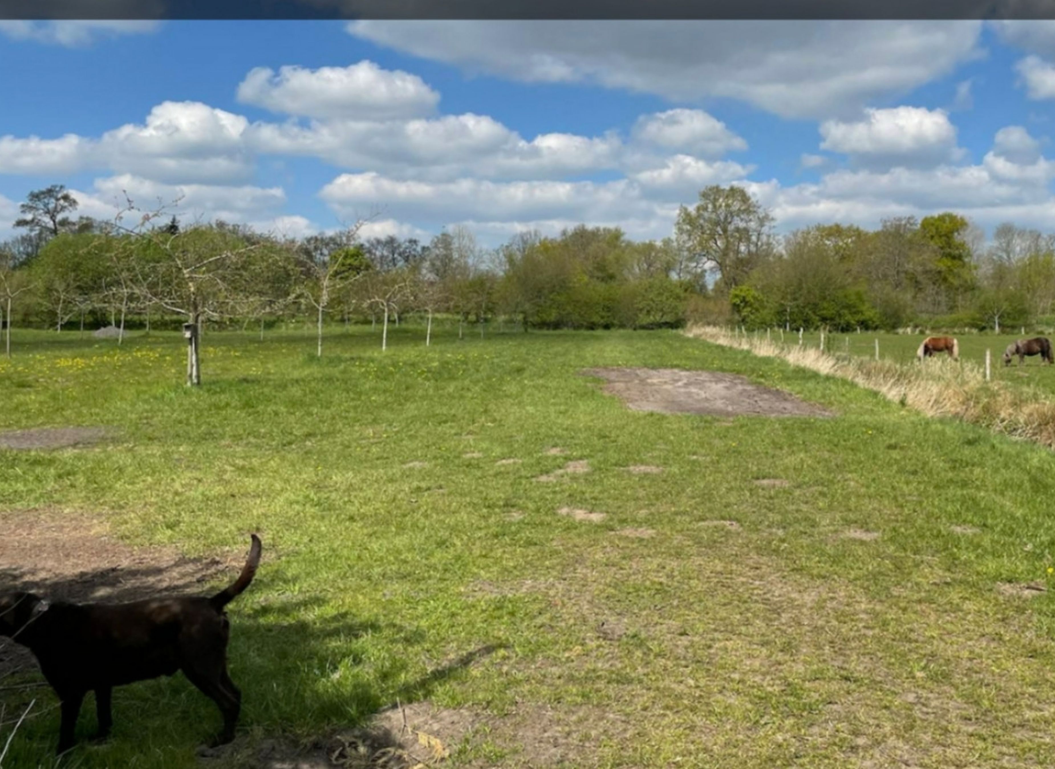 Am Naturteich — Photo 2