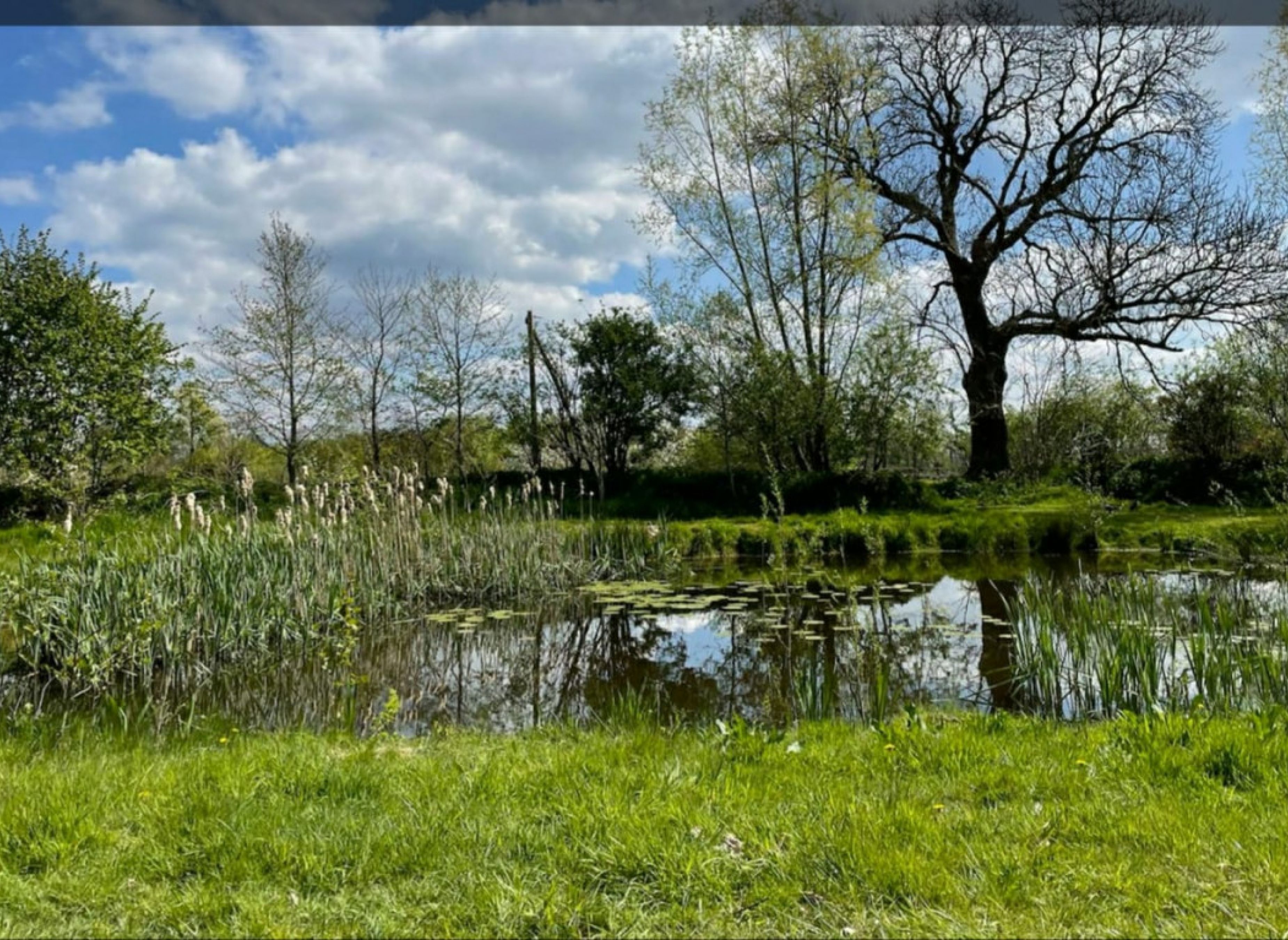 Am Naturteich — Photo 3